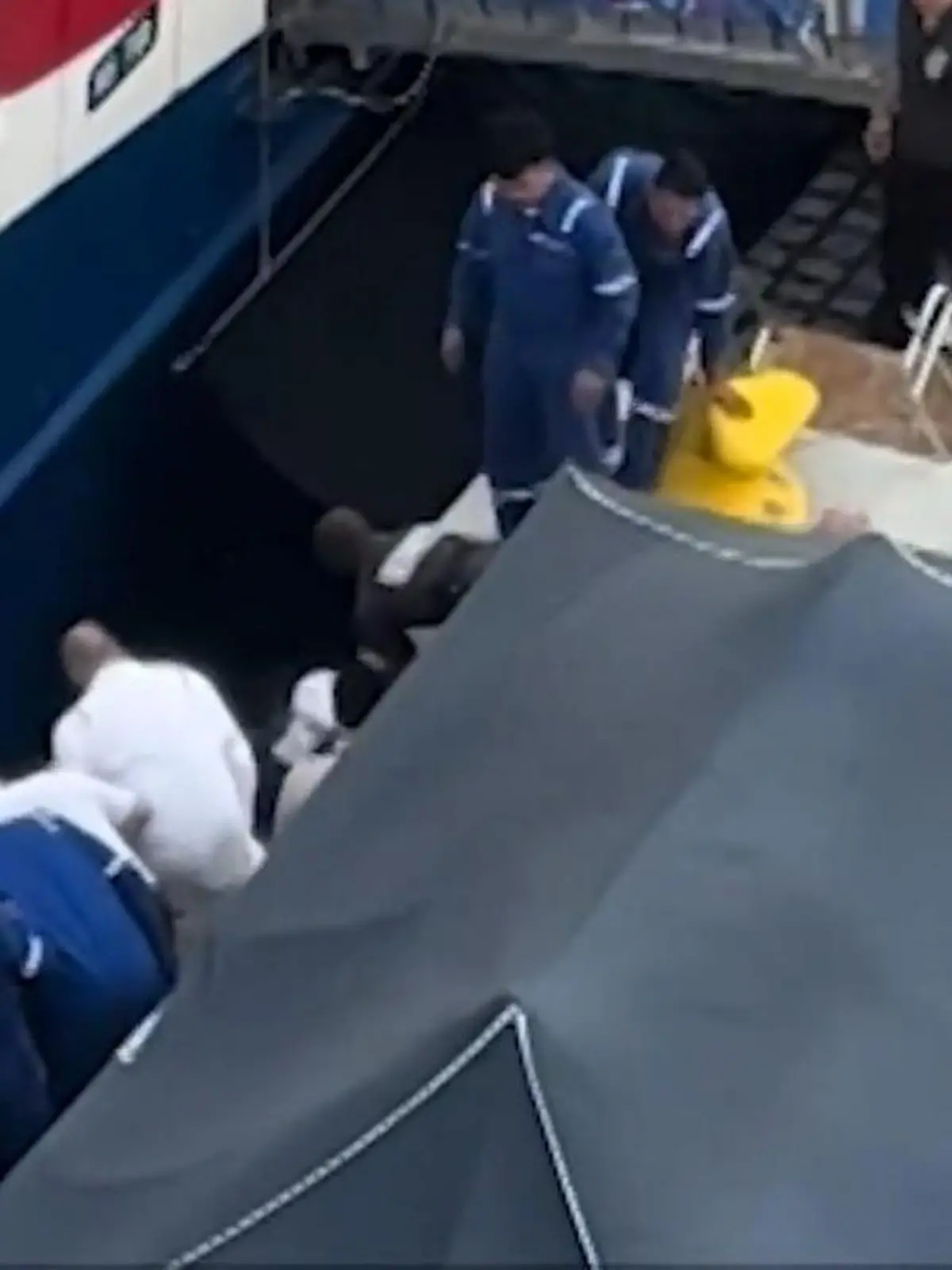 Bild zu: "Mutter springt vor Kreuzfahrtschiff ins Wasser, um Tochter (4) zu retten"