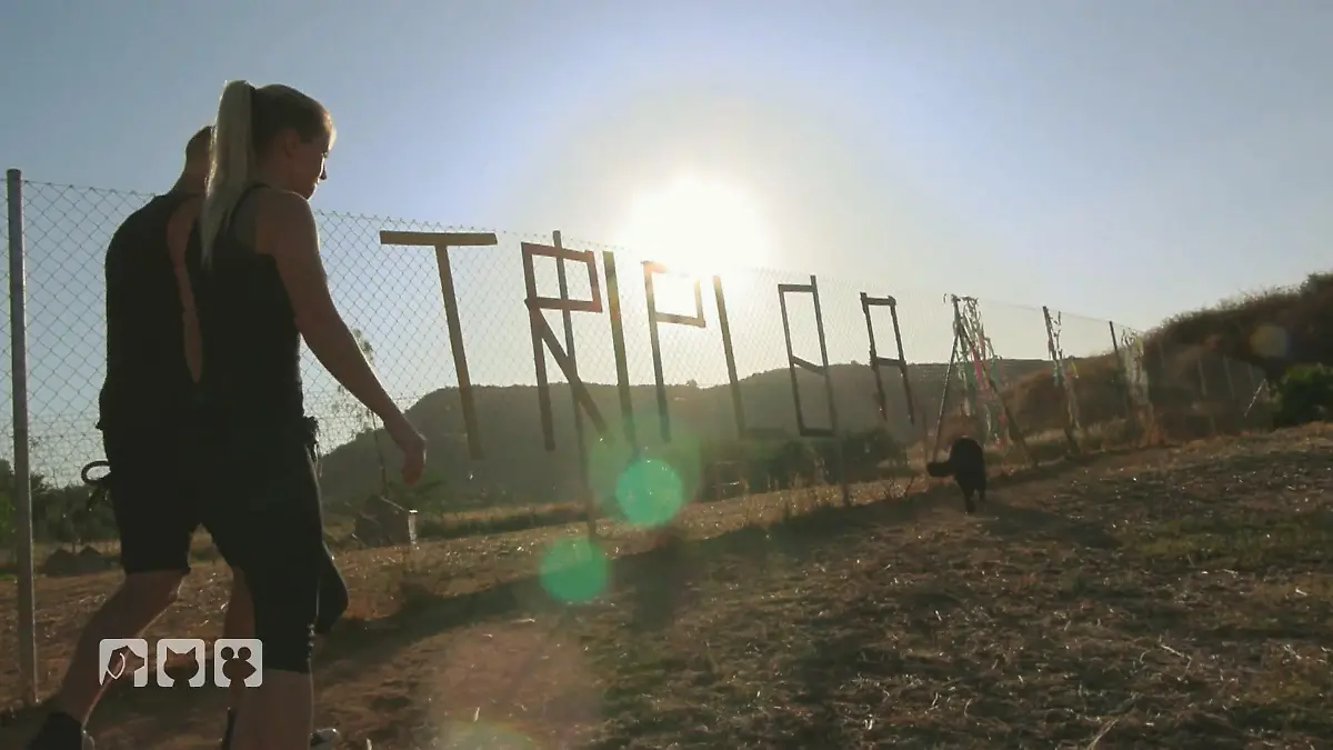 Die Frauen von Triple A kämpfen für jedes Tier Einsatz mit Herz