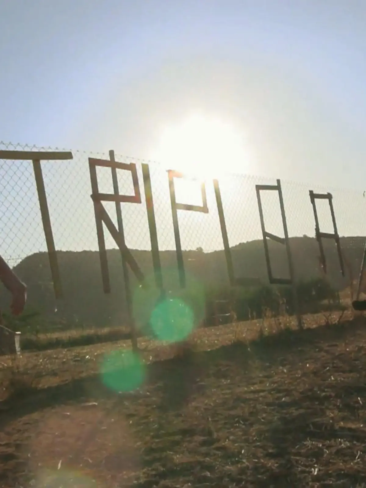 Bild zu: "Die Frauen von Triple A kämpfen für jedes Tier"