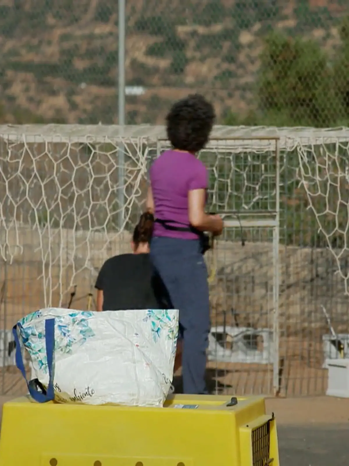 Bild zu: "Jana auf Mission – Straßenhündin einfangen"