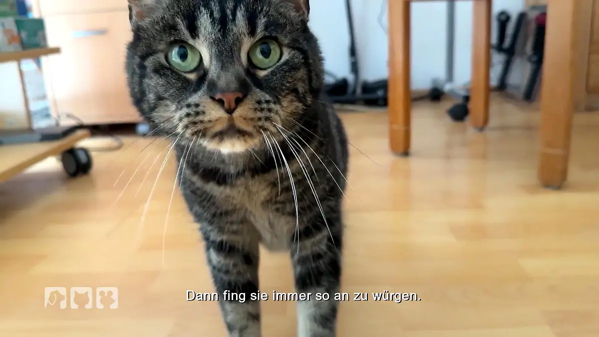 Tierärztin Nadine Küpper im Einsatz: Was hat Nala? Notfall am Wochenende