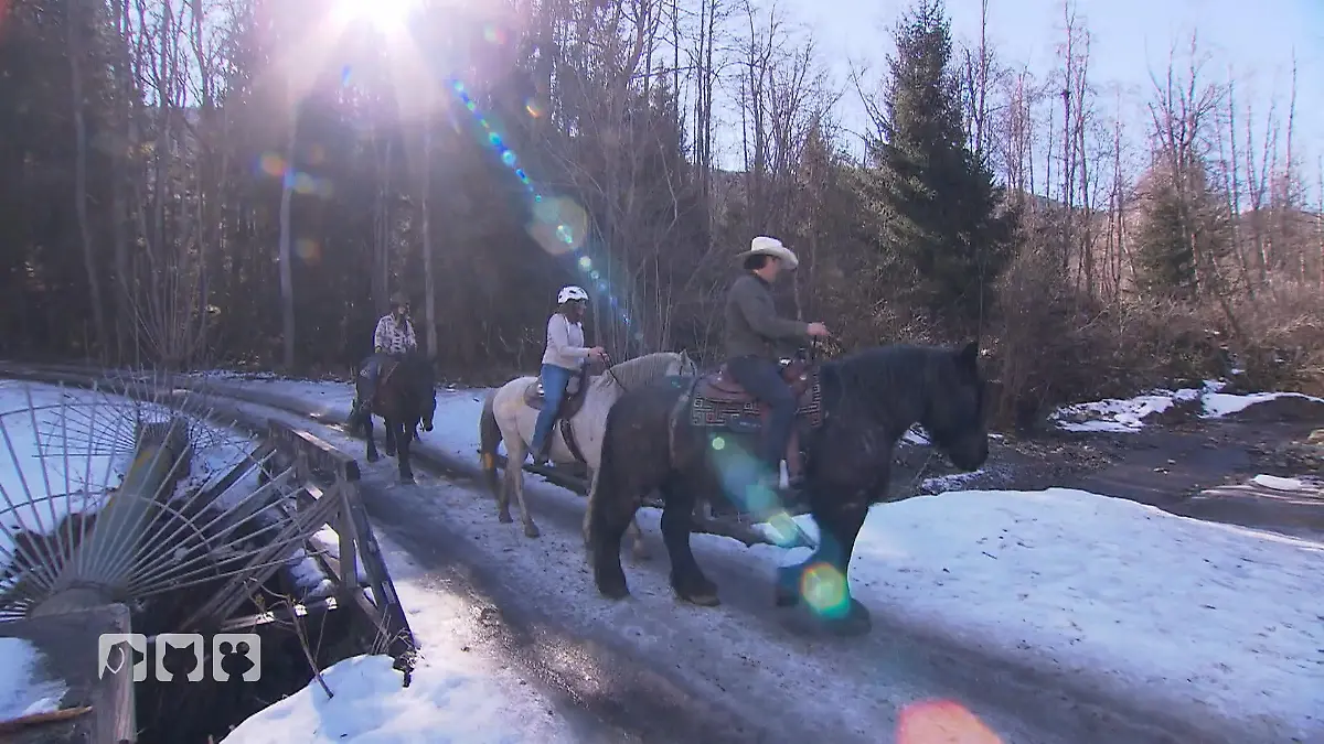 Ausritt im Schnee Romantik trifft Realität