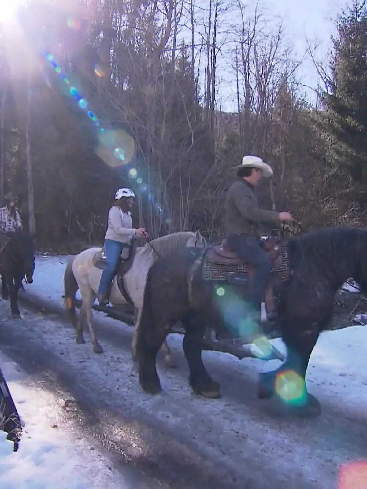Bild zu: "Ausritt im Schnee"