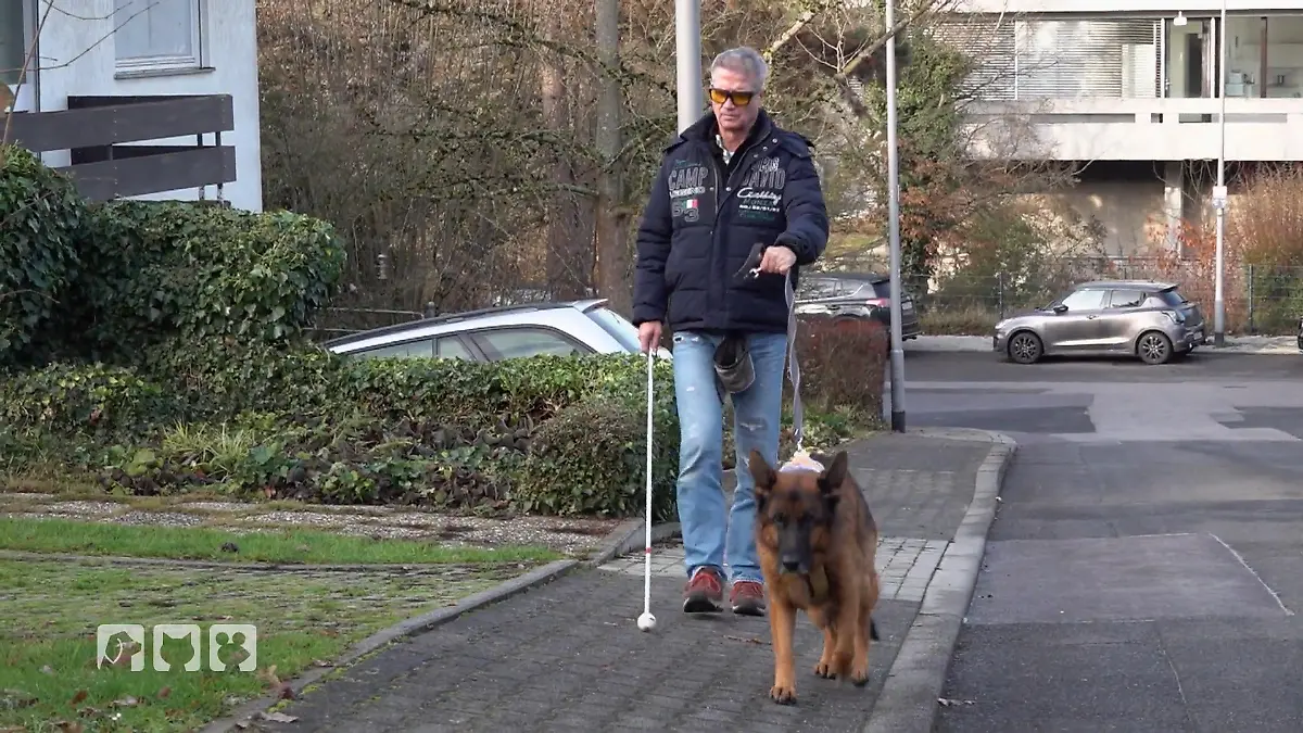 Blindenführhund Jerry: Ablenkung statt Orientierung Assistenzhund in der Krise