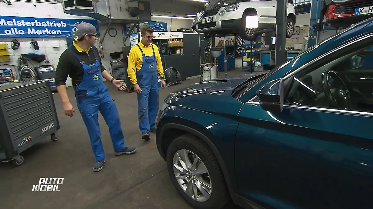 Startproblem beim Skoda aus Liechtenstein Fehler gesucht