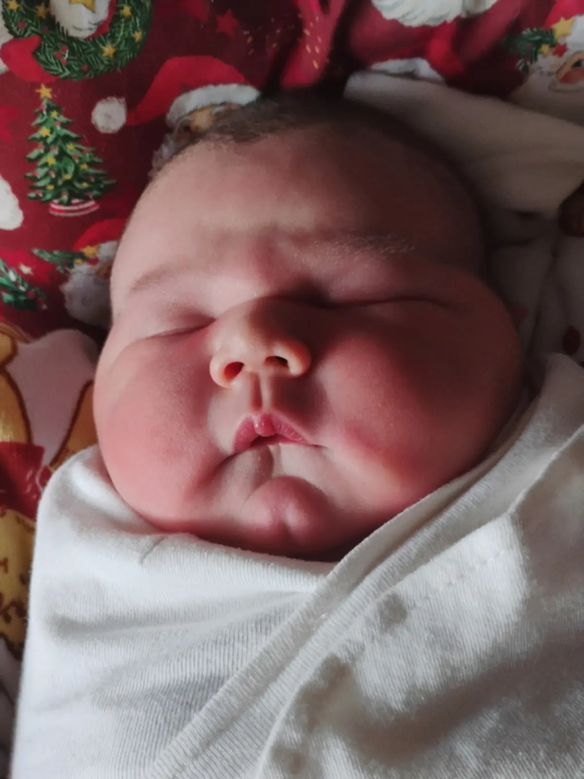 Er wiegt so viel wie eine Bowlingkugel: Baby Canyon