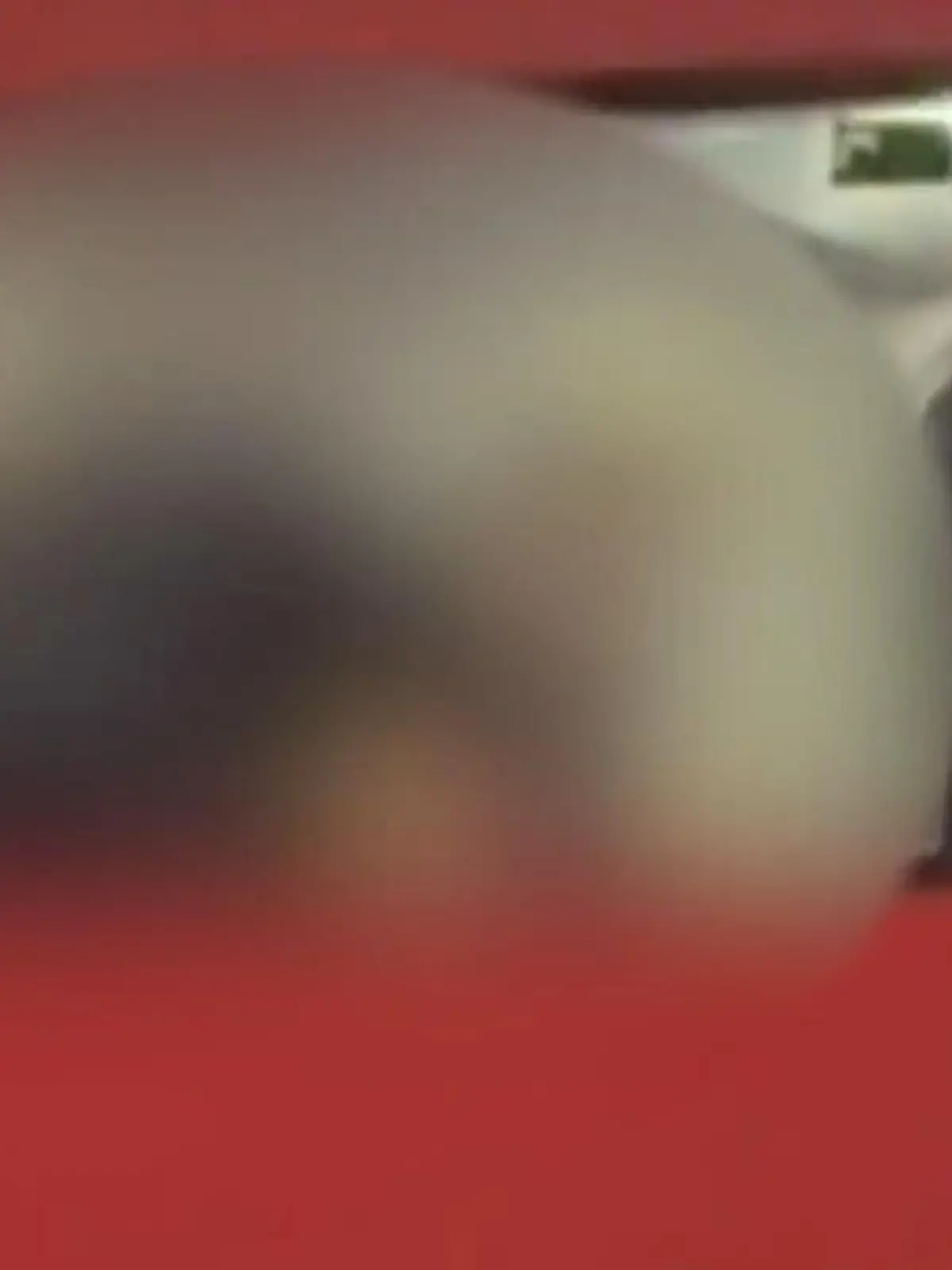 Bild zu: "Sex-Schock im Bus! Pärchen gibt Vollgas – und alle schauen zu"