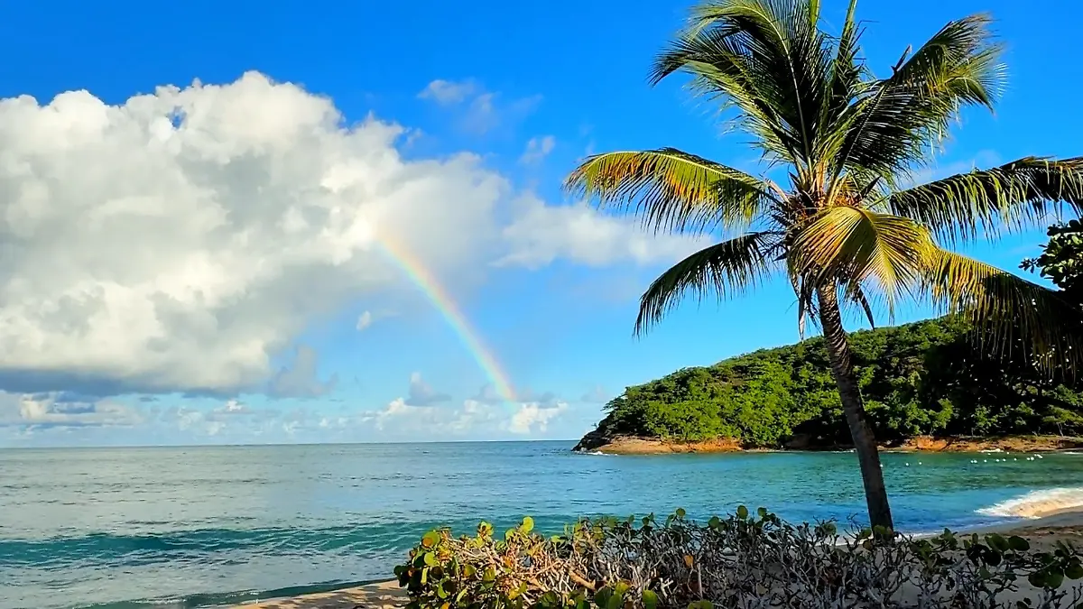 Urlaubstr-ume-2026-kann-die-Karibik-wirklich-g-nstiger-sein-als-Mallorca-