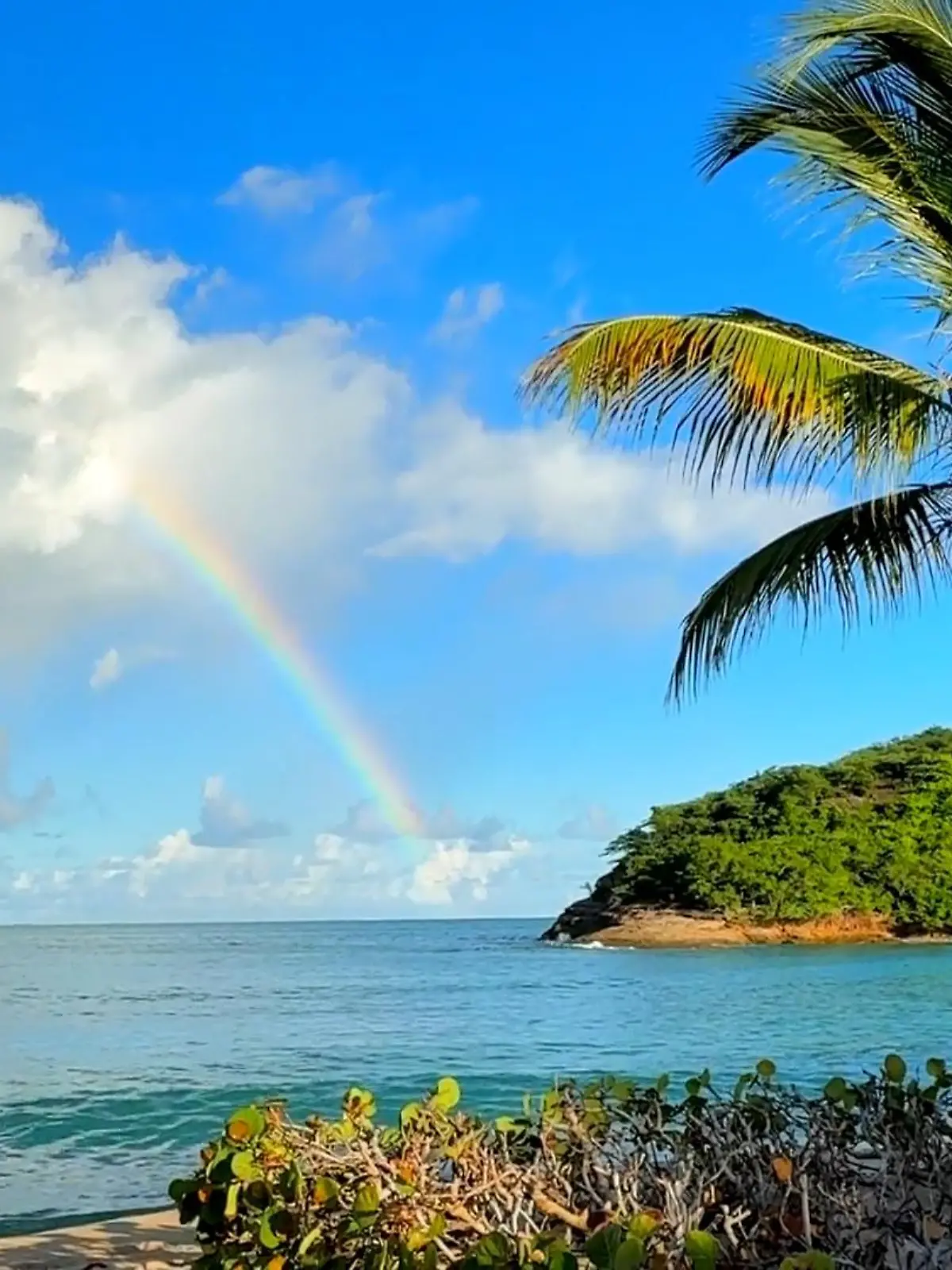 Bild zu: "Urlaubsträume 2026 – kann die Karibik wirklich günstiger sein als Mallorca?"