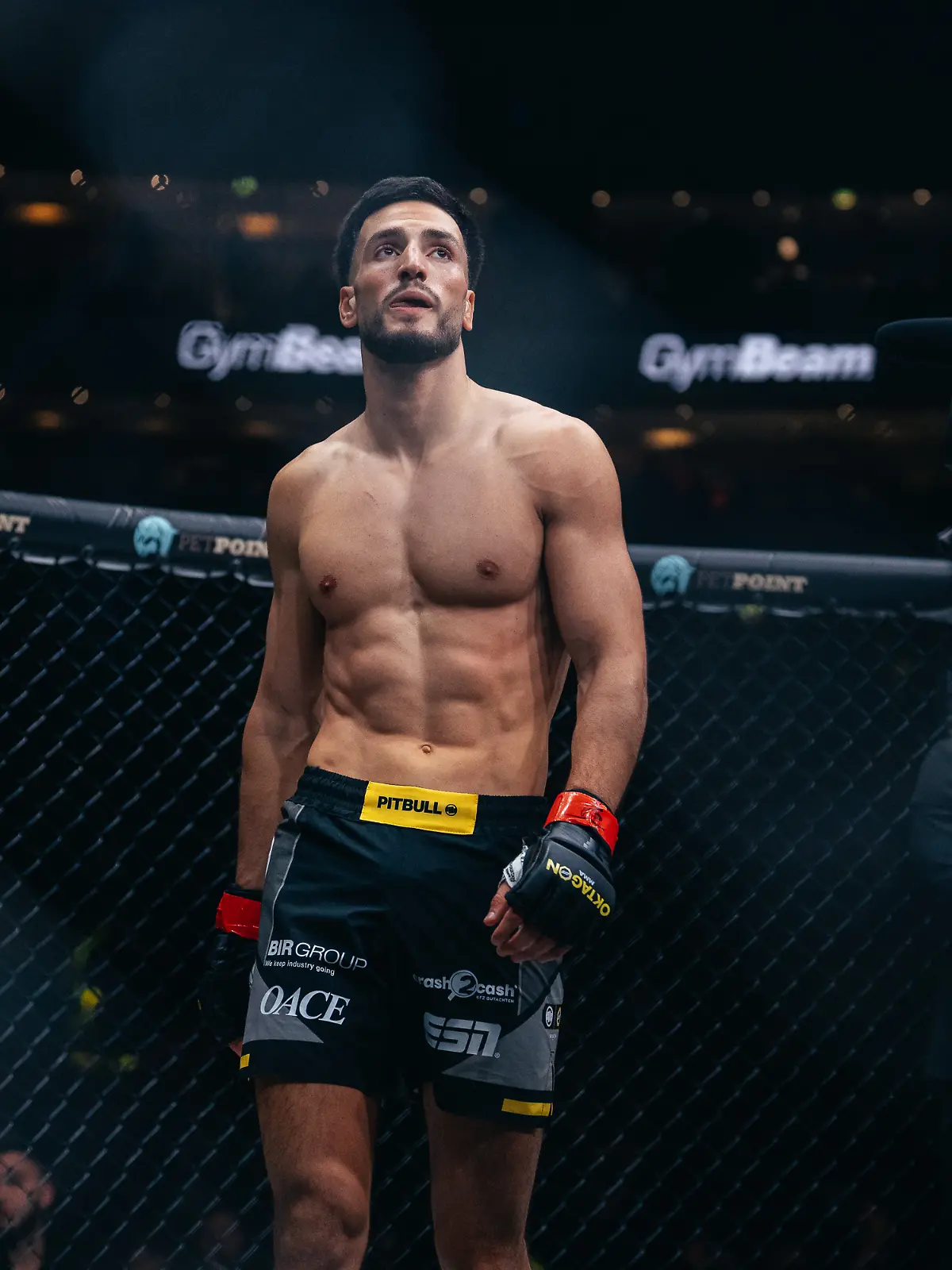 Bild zu: "Darum ist dieser Kampf von MMA-Star Tamerlan Dulatov so besonders!"