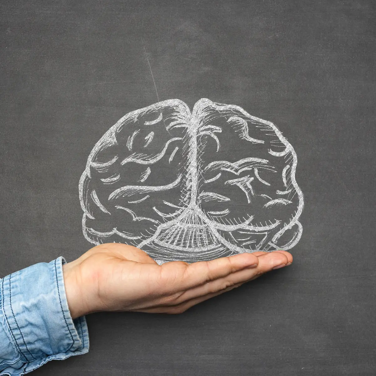 Suchbilder Bild zu: "Suchbilder"