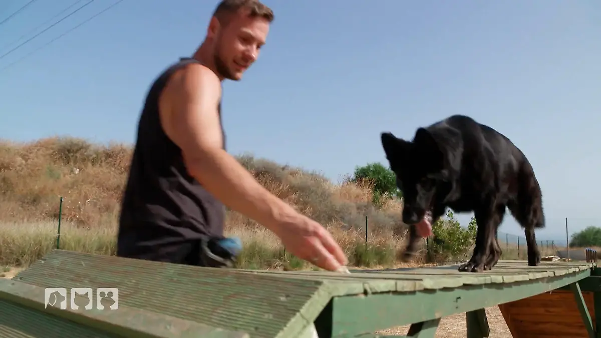 Arabella im Training mit Steve Potenzial