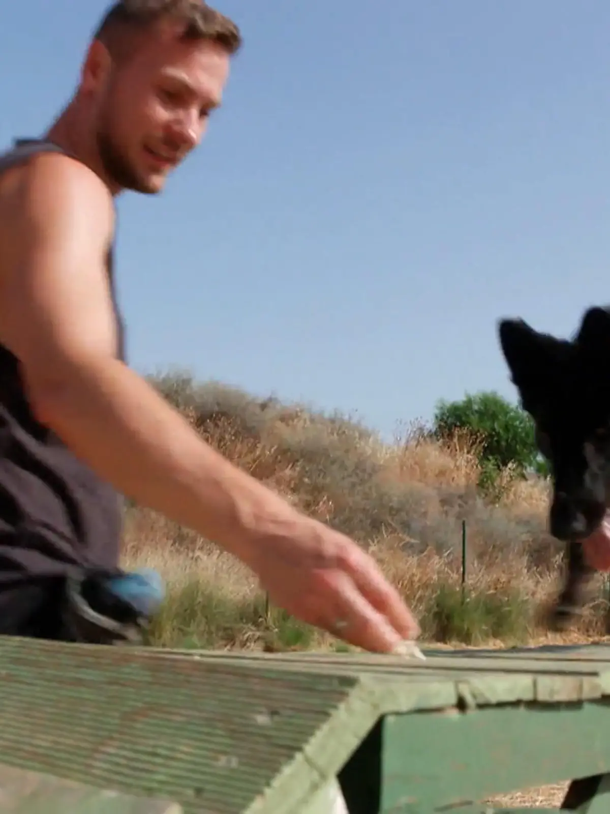 Bild zu: "Arabella im Training mit Steve"