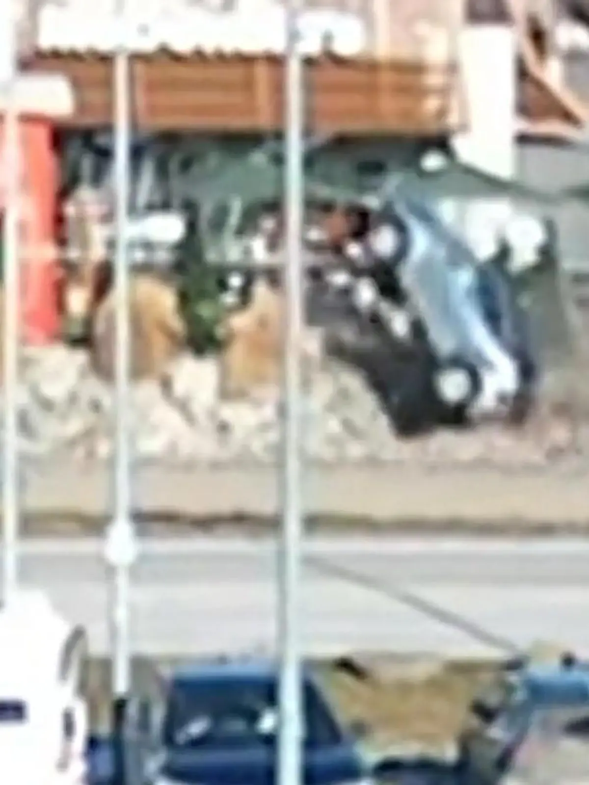 Bild zu: "Steinwand rettet allen das Leben! 67-Jähriger verliert Kontrolle über sein Auto"