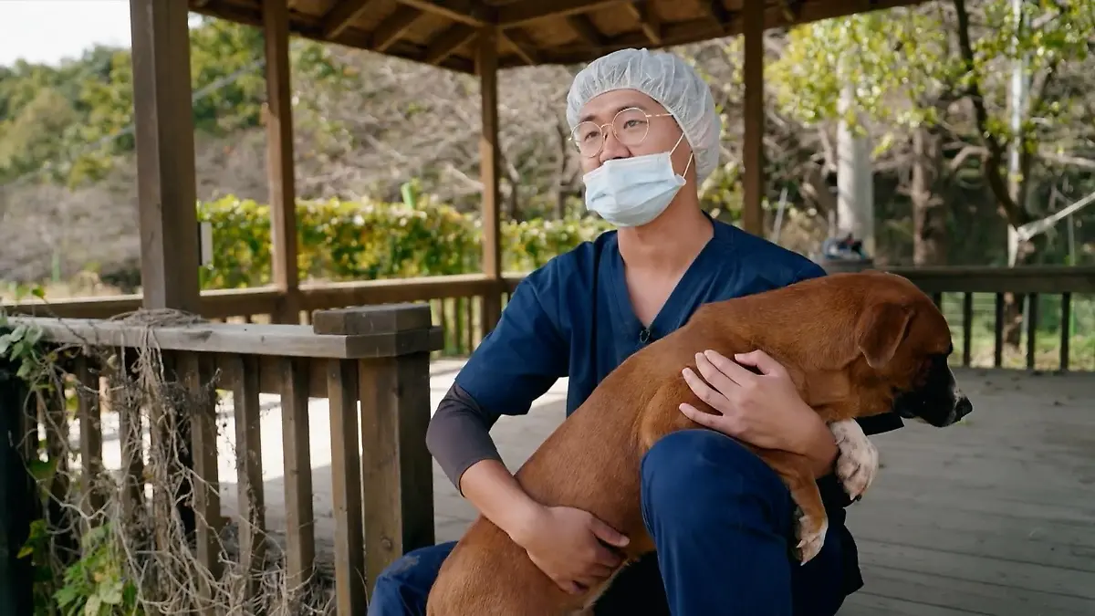 Südkorea klont Haustiere für Stars! Schockierend! Promis klonen Haustiere