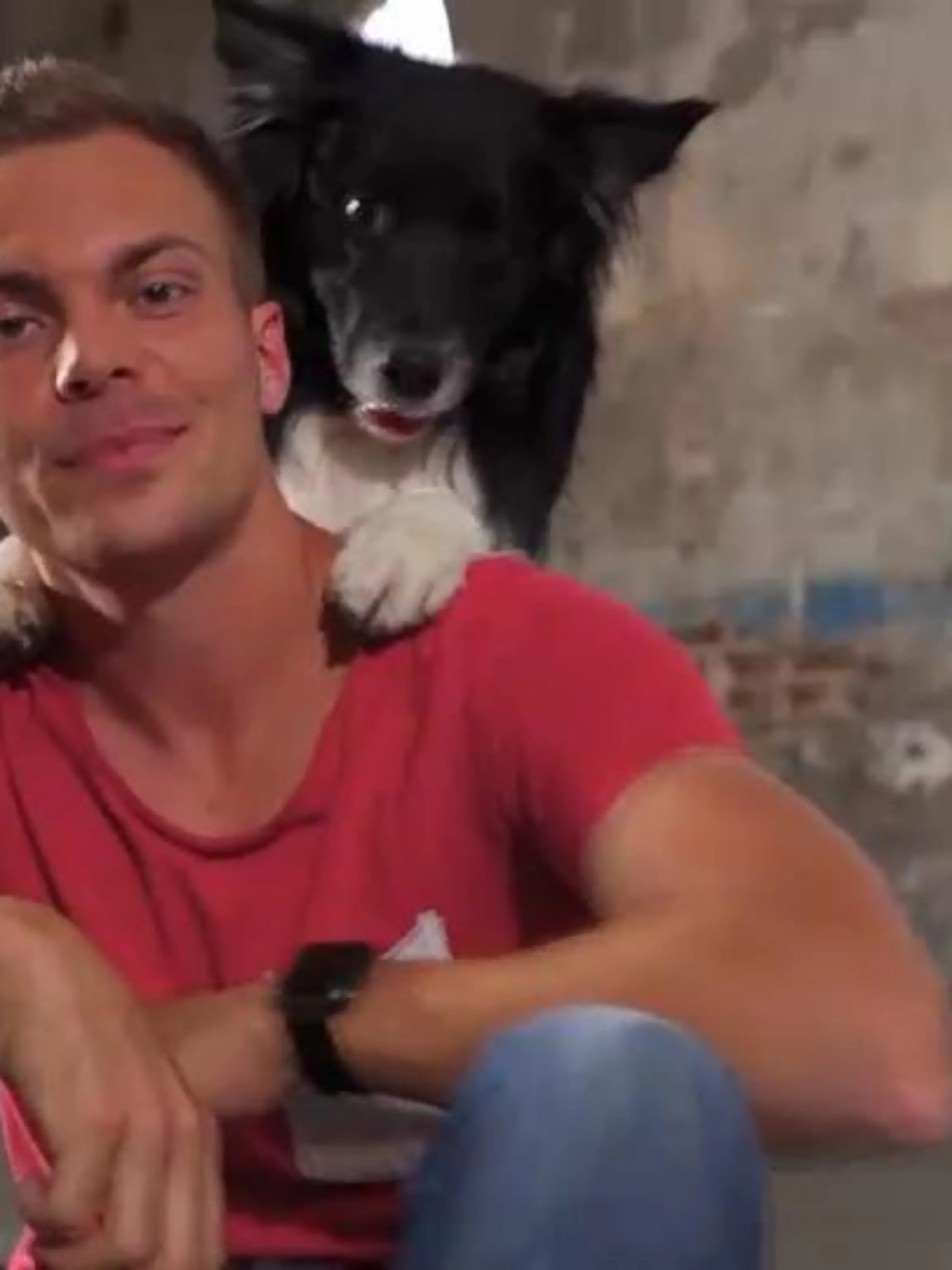 Lukas Pratschker und Border Collie Joke wollen „Top Dog Germany“ gewinnen.