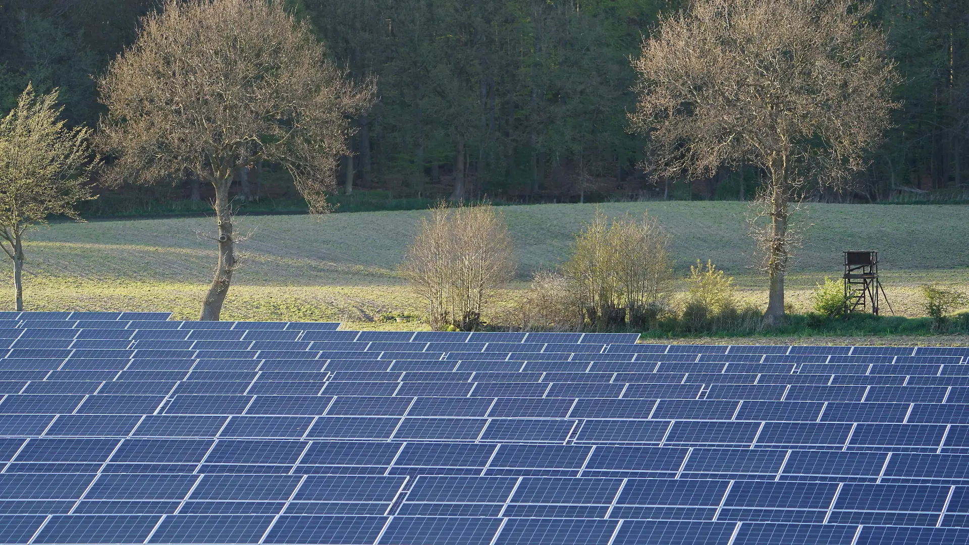 Studie: Klimaziel 2025 erreicht, aber nur wenig CO2 gespart