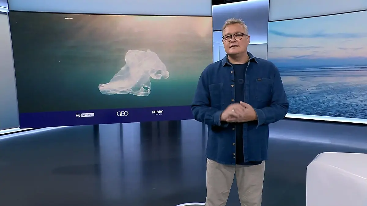 Unsichtbares Plastik bedroht Ozeane Auswirkungen auf Meeresleben