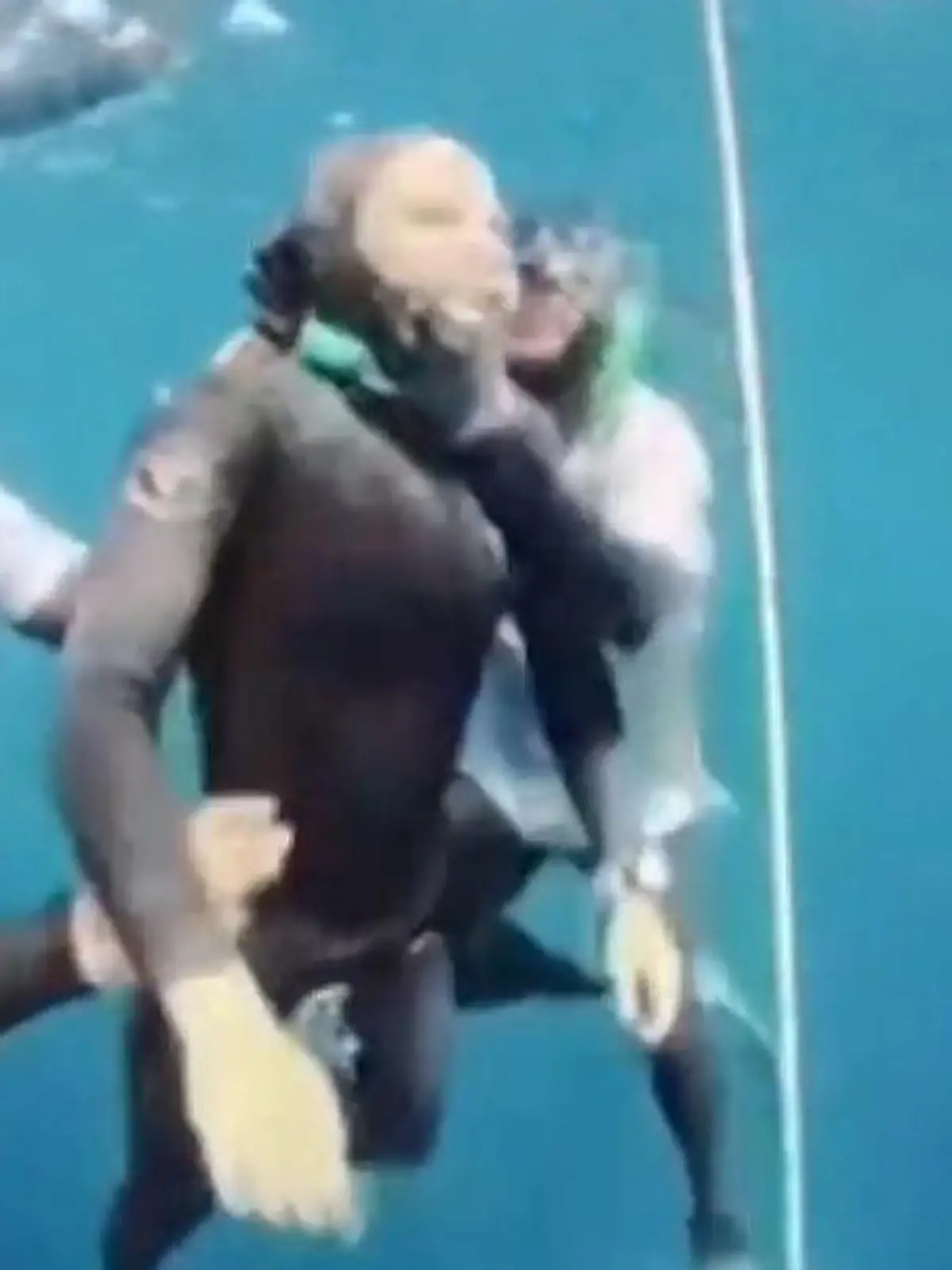 Bild zu: "Bei 58-Meter-Tauchgang! Freediverin plötzlich bewusstlos"