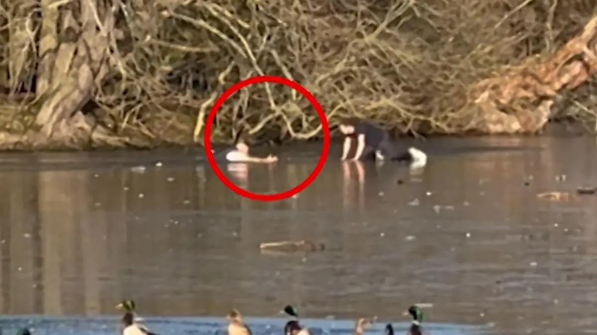 Mann in Eiswasser gefangen! Fremder riskiert sein Leben – und bricht selbst ein Er wollte nur seinen Hund retten
