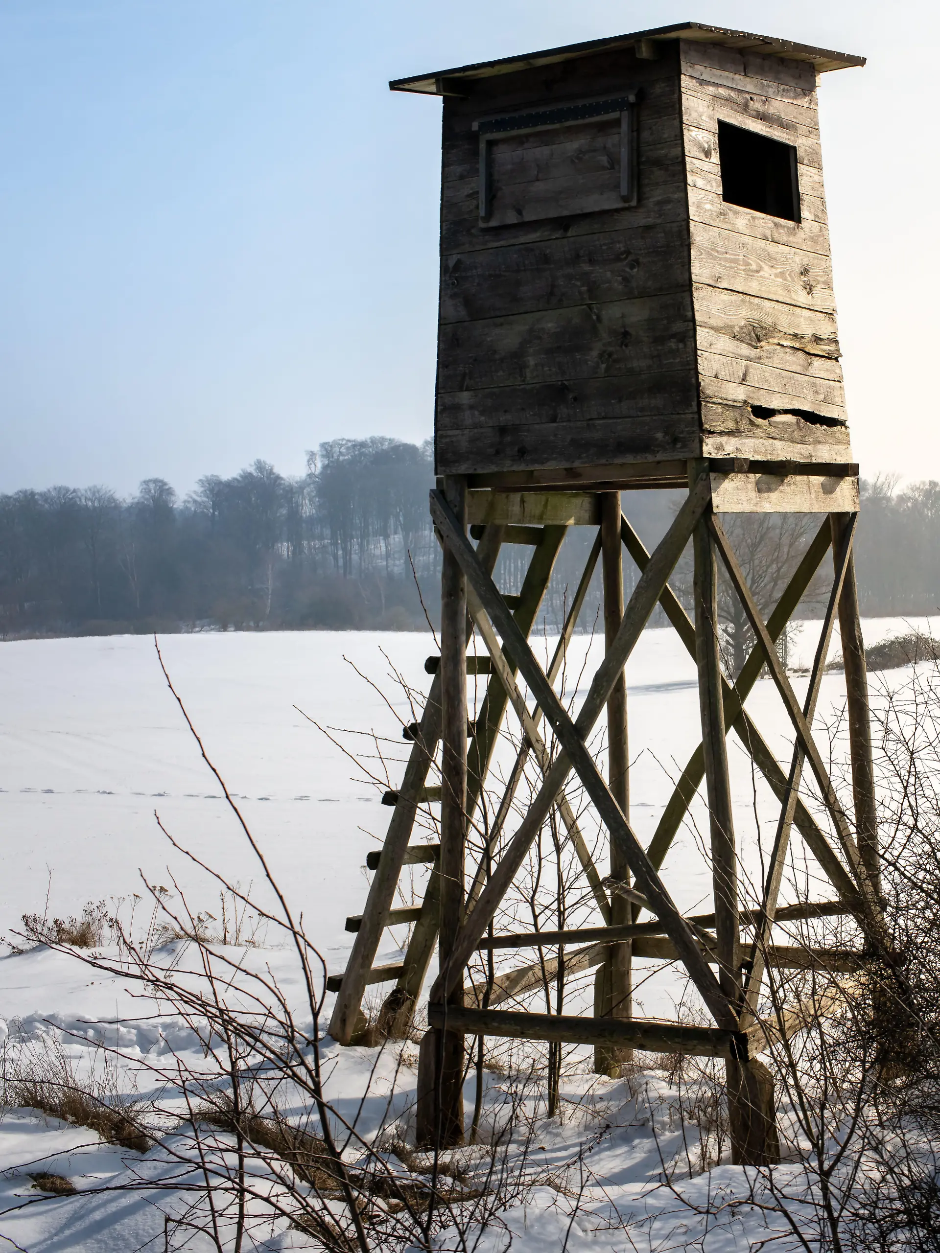 In Niedersachsen hat ein Jäger auf eine Spaziergängerin geschossen.