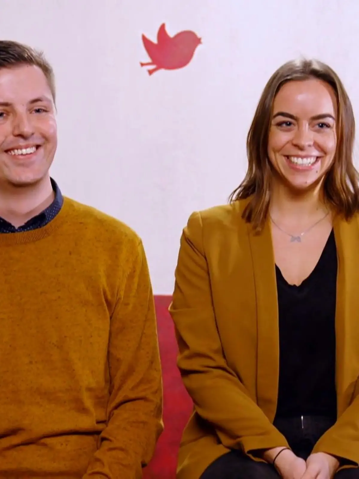 Bild zu: ""Die Schmetterlinge sind noch immer Raupen""