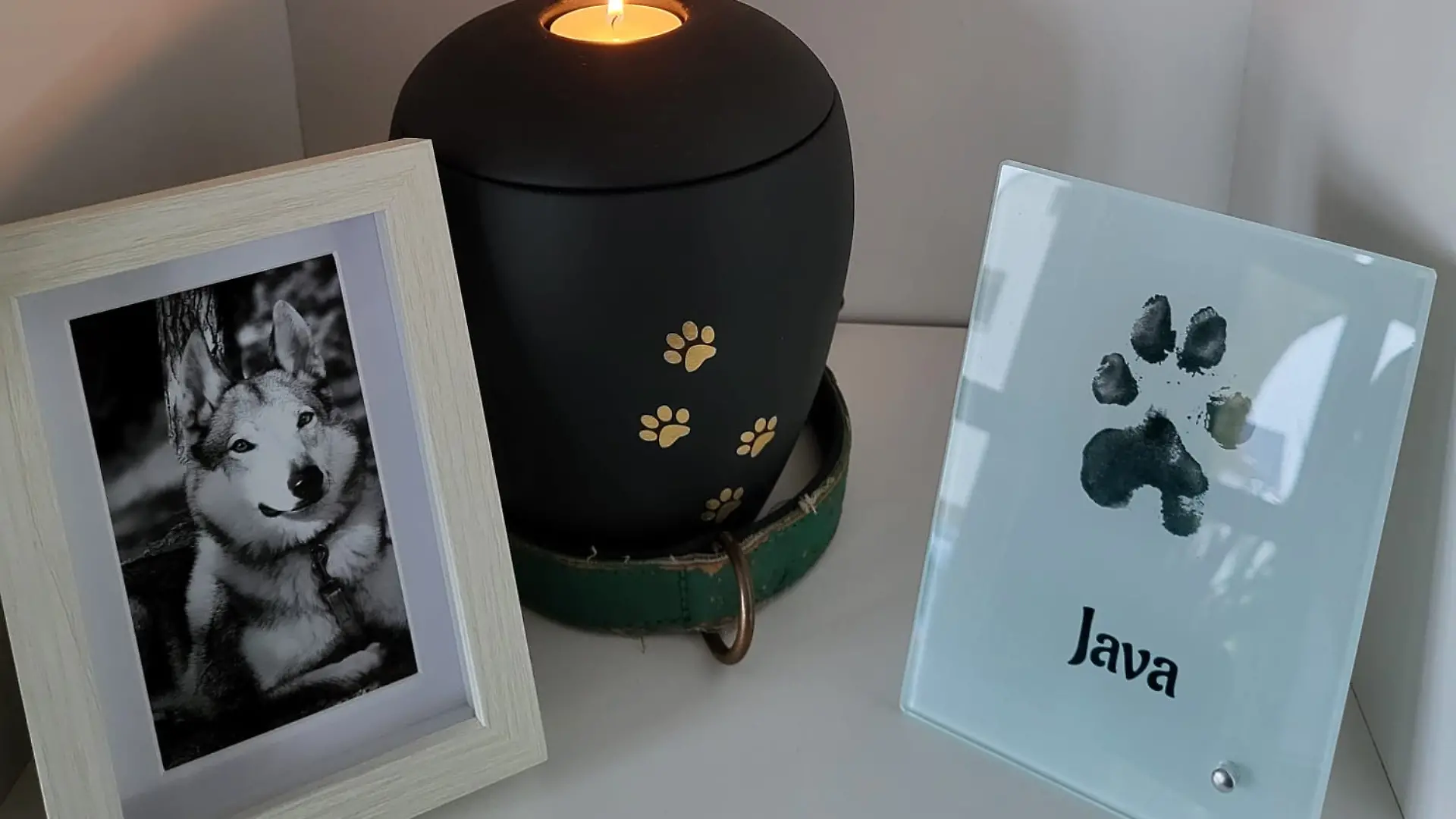 Urne und Bild von Hündin Java