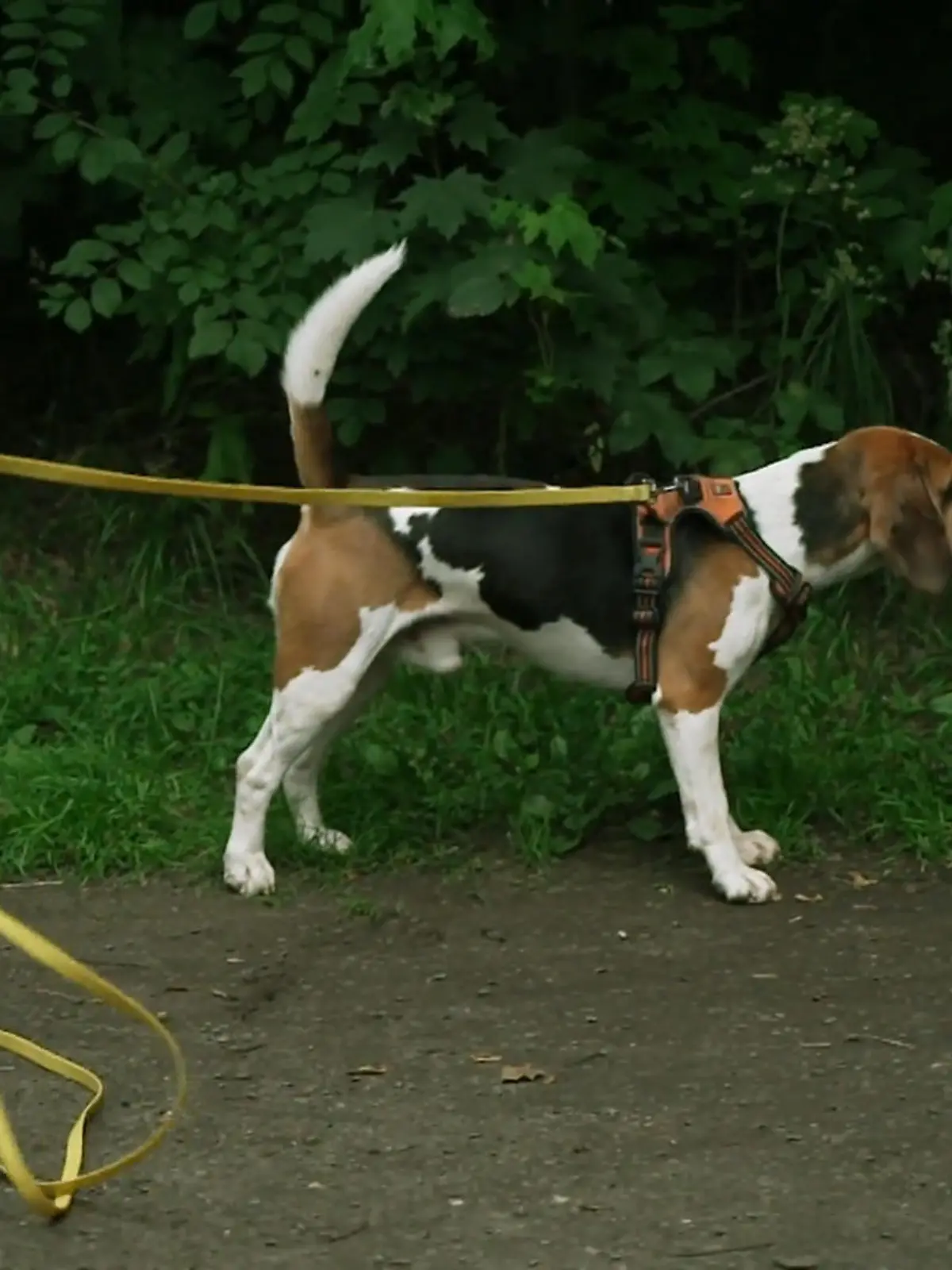 Bild zu: "Sturkopf mit Chance auf Veränderung"
