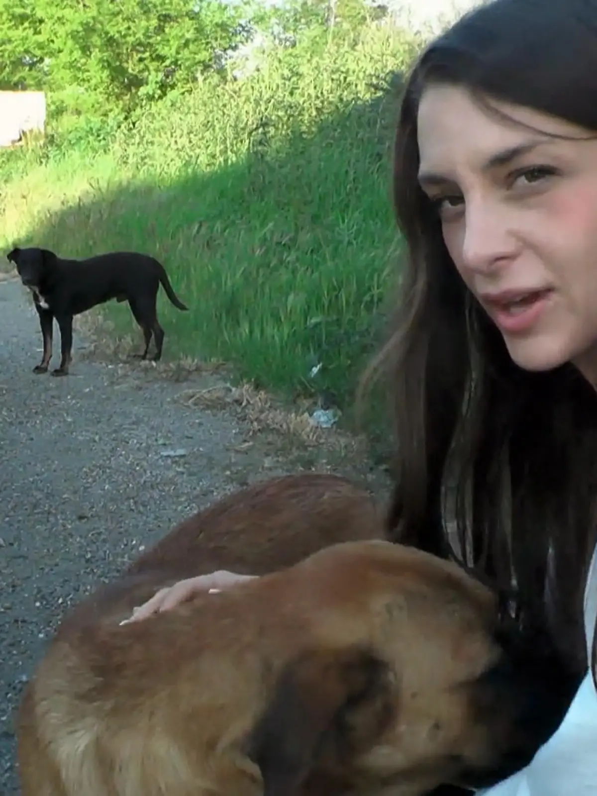 Bild zu: "Hilfe vor Ort und im Ausland"