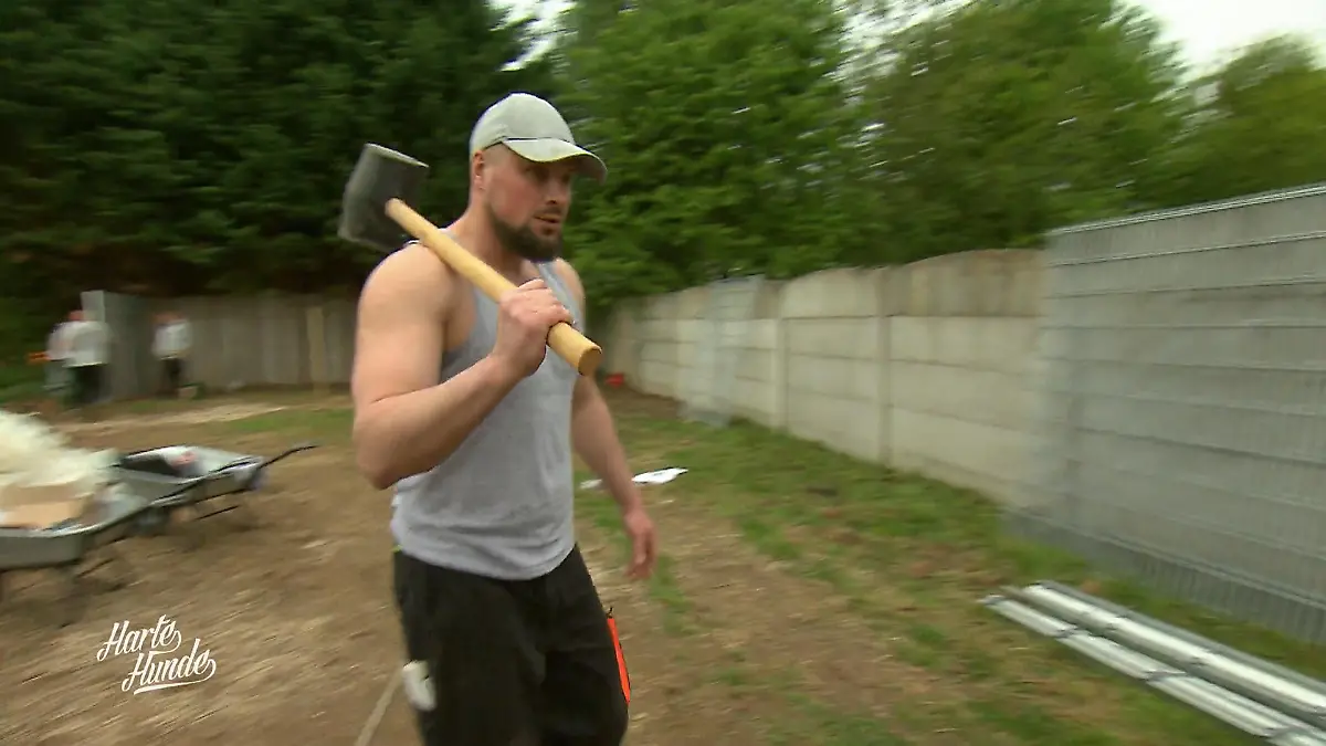 Hilfe auf zwei Baustellen Straßenhunde in Bosnien