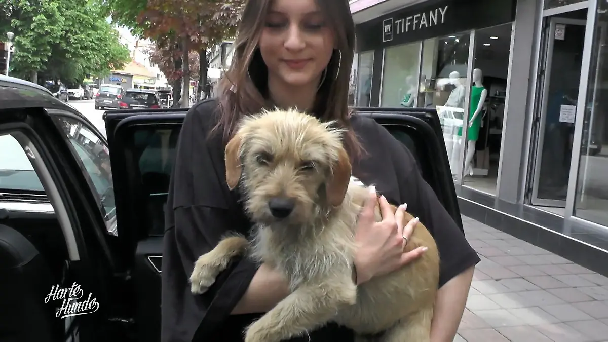 Rettungsmission vor der Euthanasie Einsatz gegen die Zeit