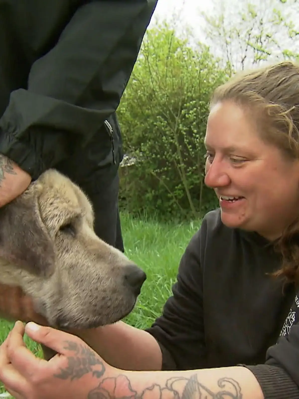 Bild zu: "Kangal Pascha beim Tierarzt: Hält er still fürs Blutbild?"