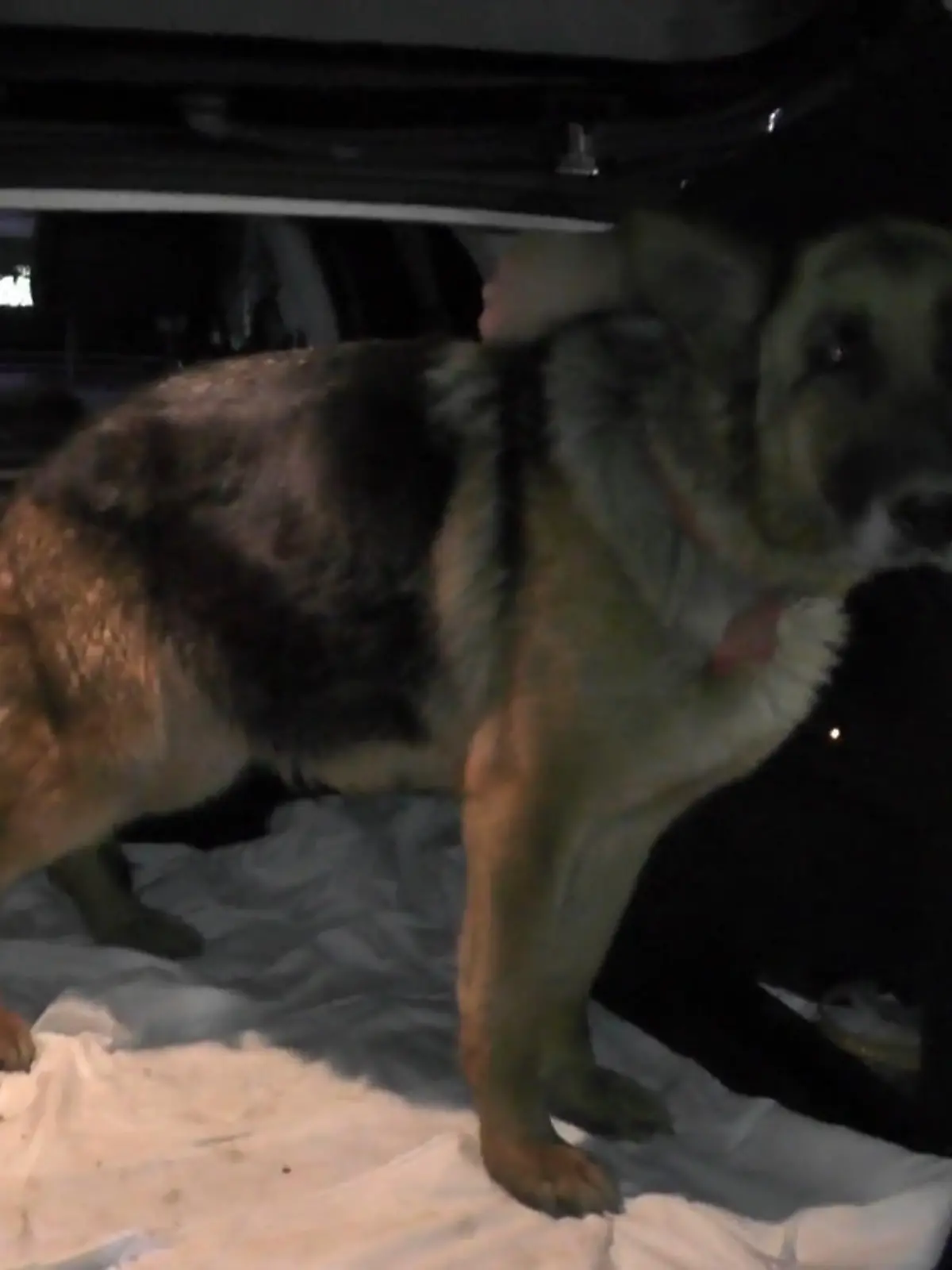 Bild zu: "Von Rumänien ins neue Leben"