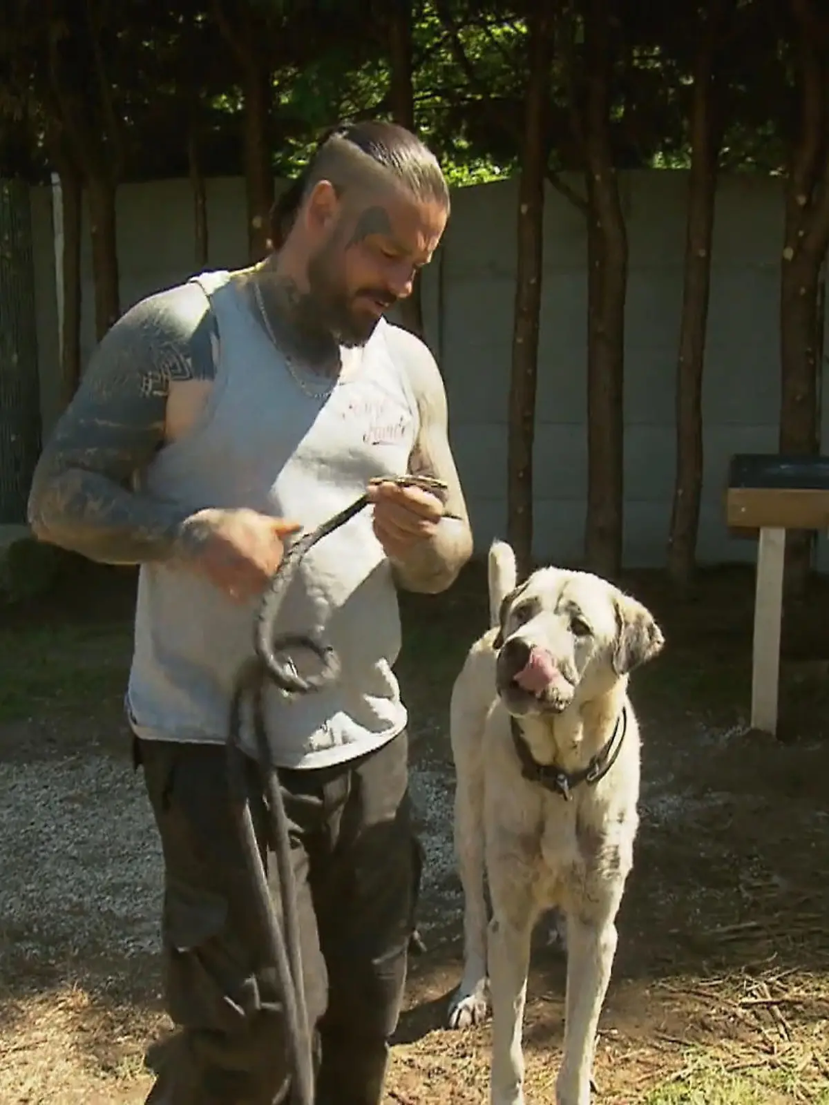 Bild zu: "Sonne, neues Gehege und Wellnessprogramm für Pascha"