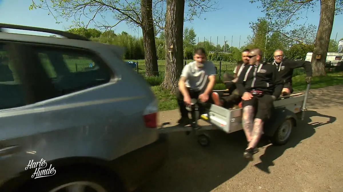 Gegen Schlamm und Schäden: Platz schaffen für die Neuzugänge Vorbereitungen