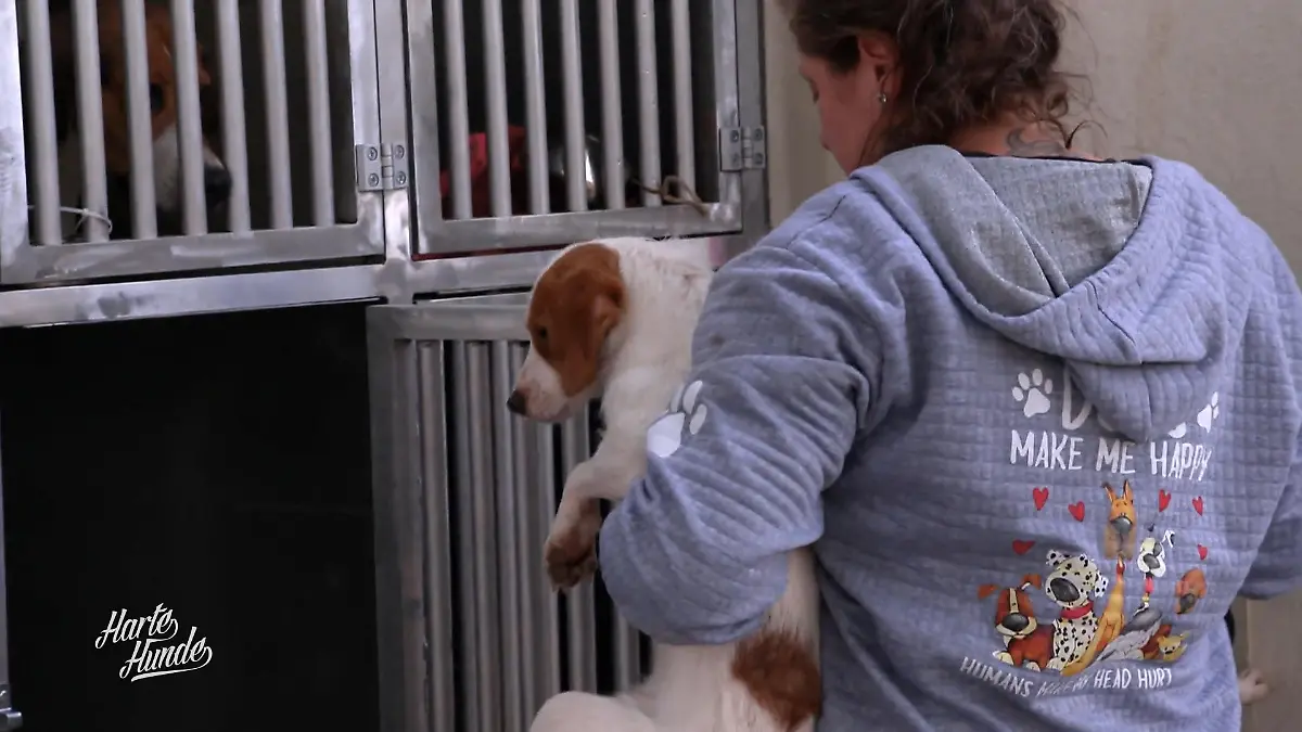 Vom Transporter ins neue Leben Ankunft