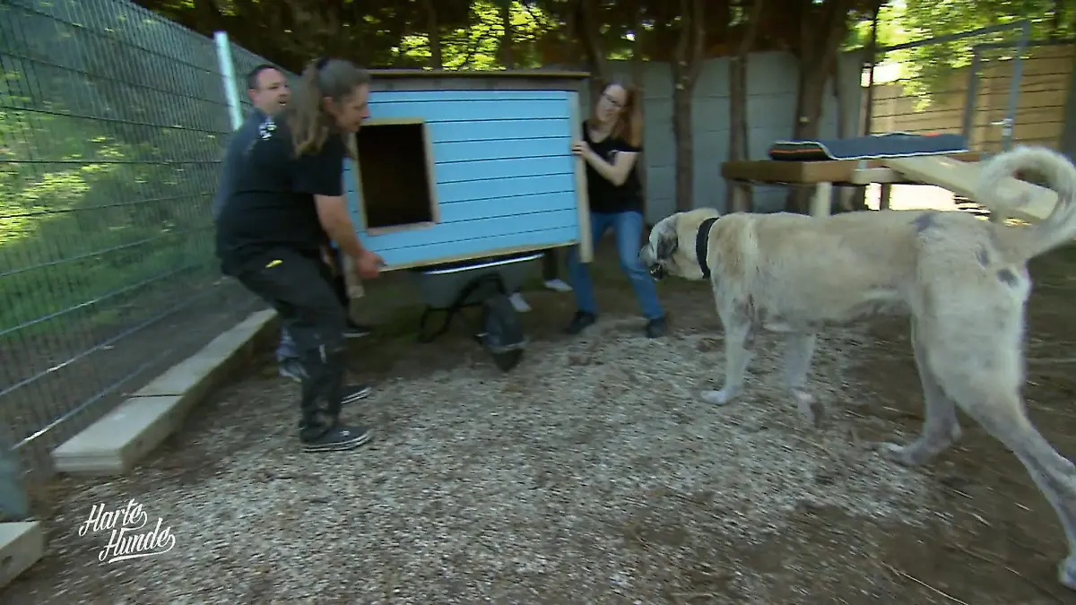 Auslauf mit Wohlfühlfaktor Finale in Heinsberg