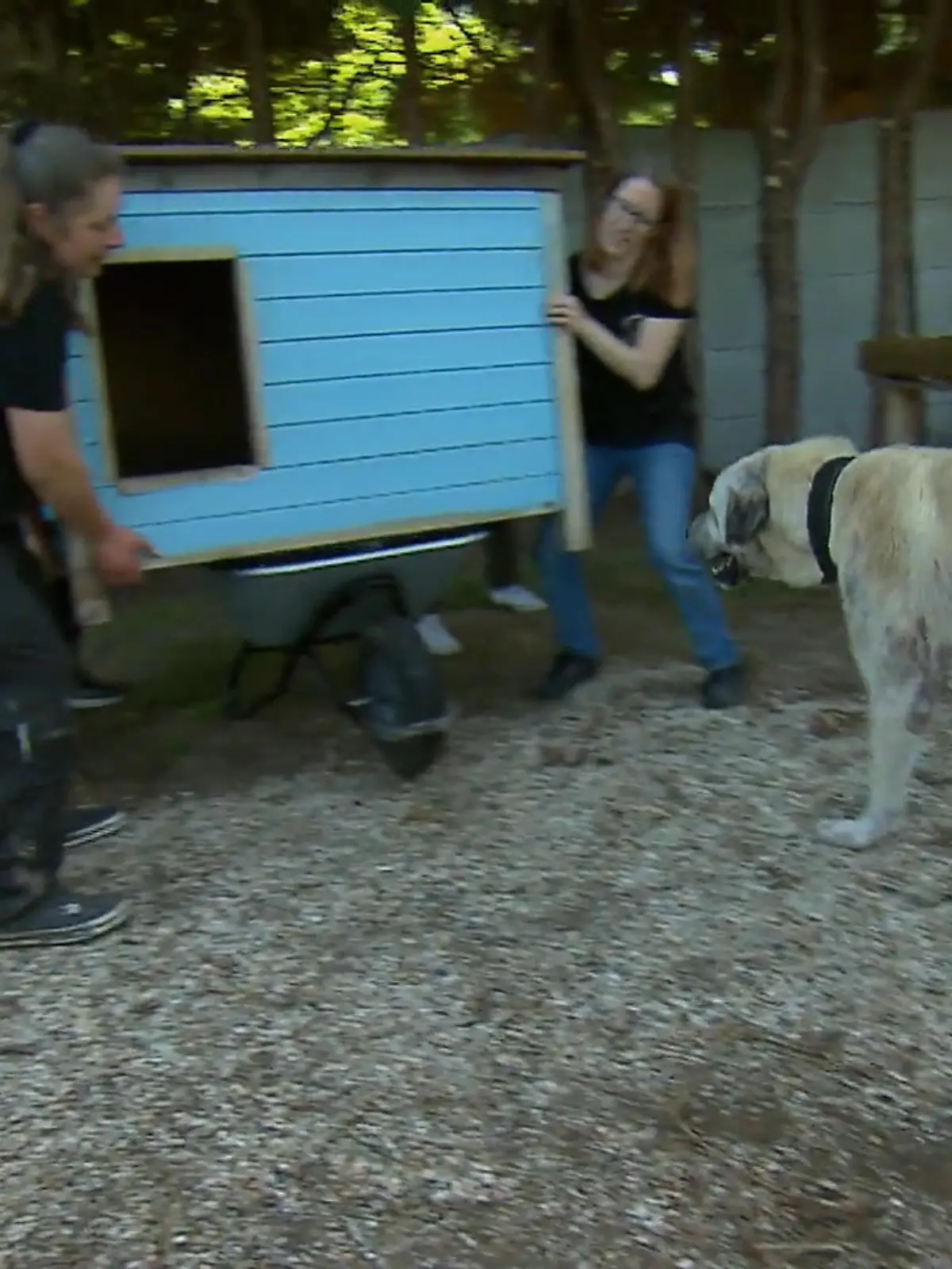 Bild zu: "Auslauf mit Wohlfühlfaktor"