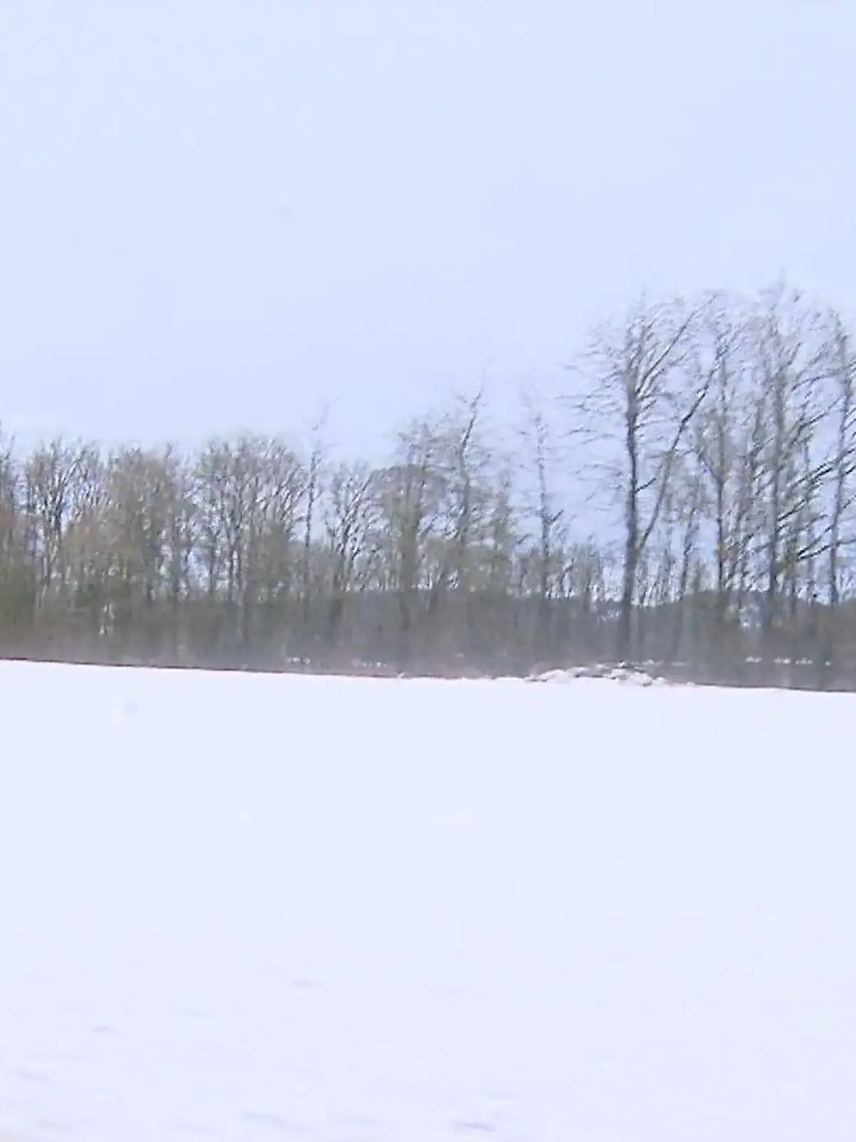 Bild zu: "Kein Chaos durch Tief „Elli“ in NRW"