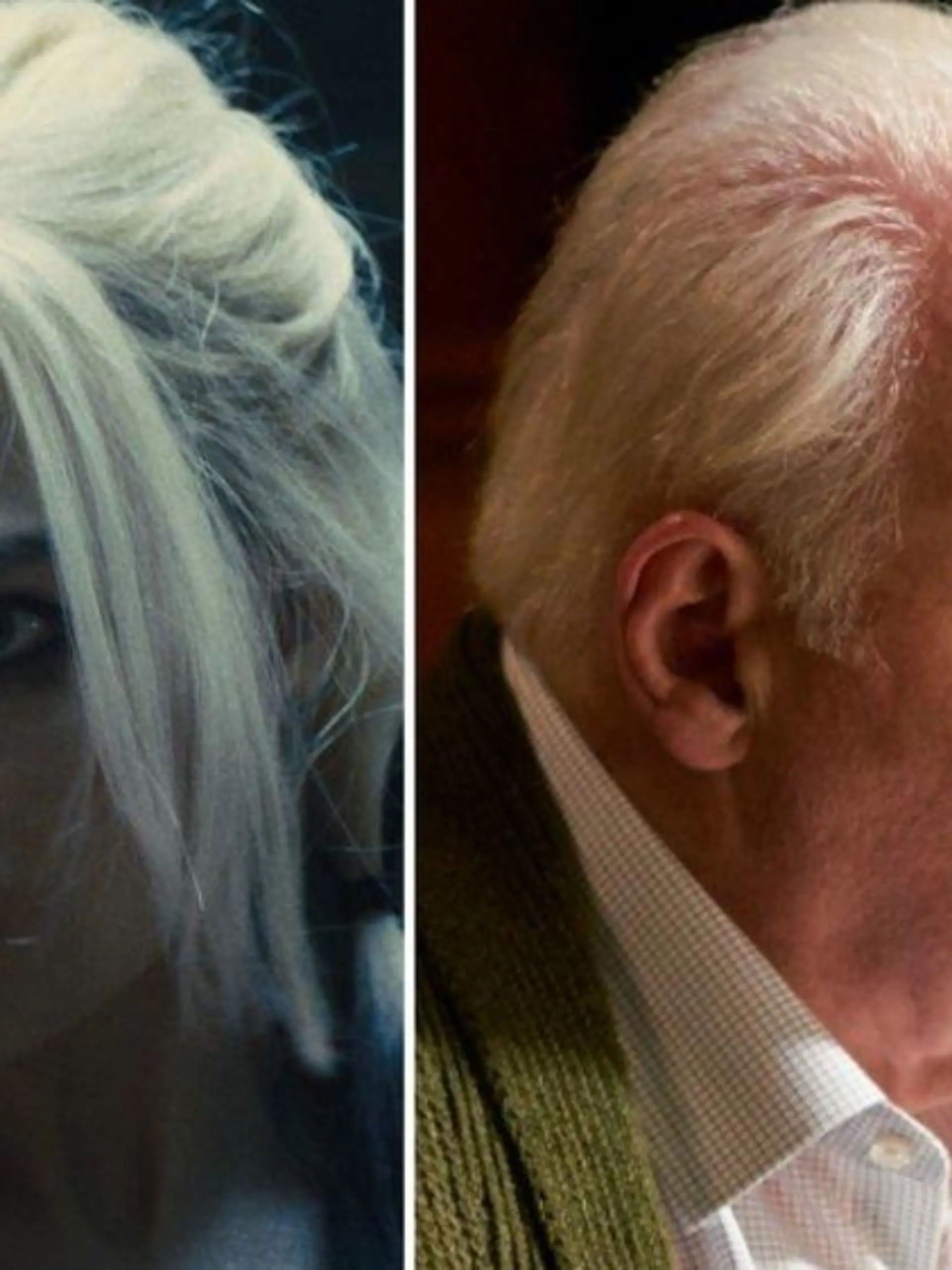 Die Kino-Tipps im August