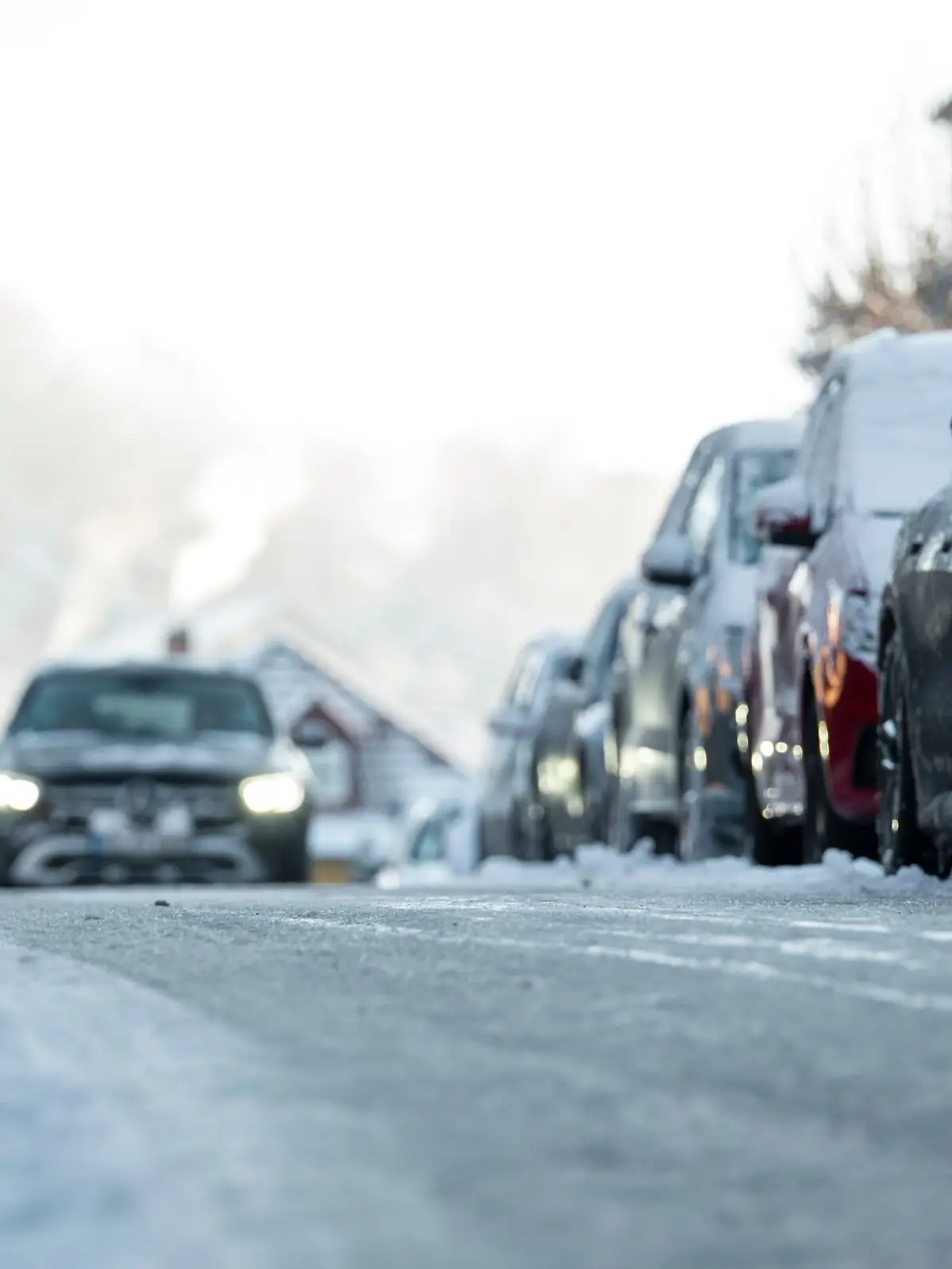 Bild zu: "Elli weg, jetzt kommt Gunda! "