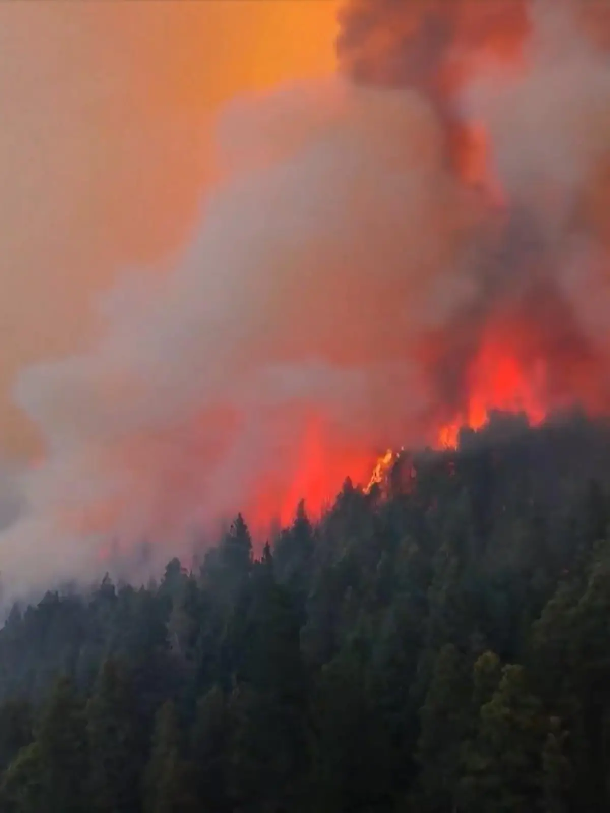Bild zu: "Feuerwehr kämpft gegen massive Waldbrände in Patagonien"