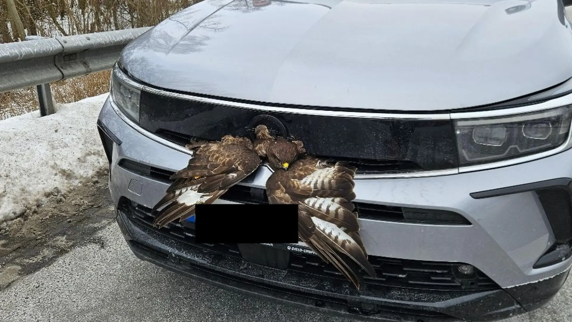 Der Bussard steckt vorne im Opel fest.