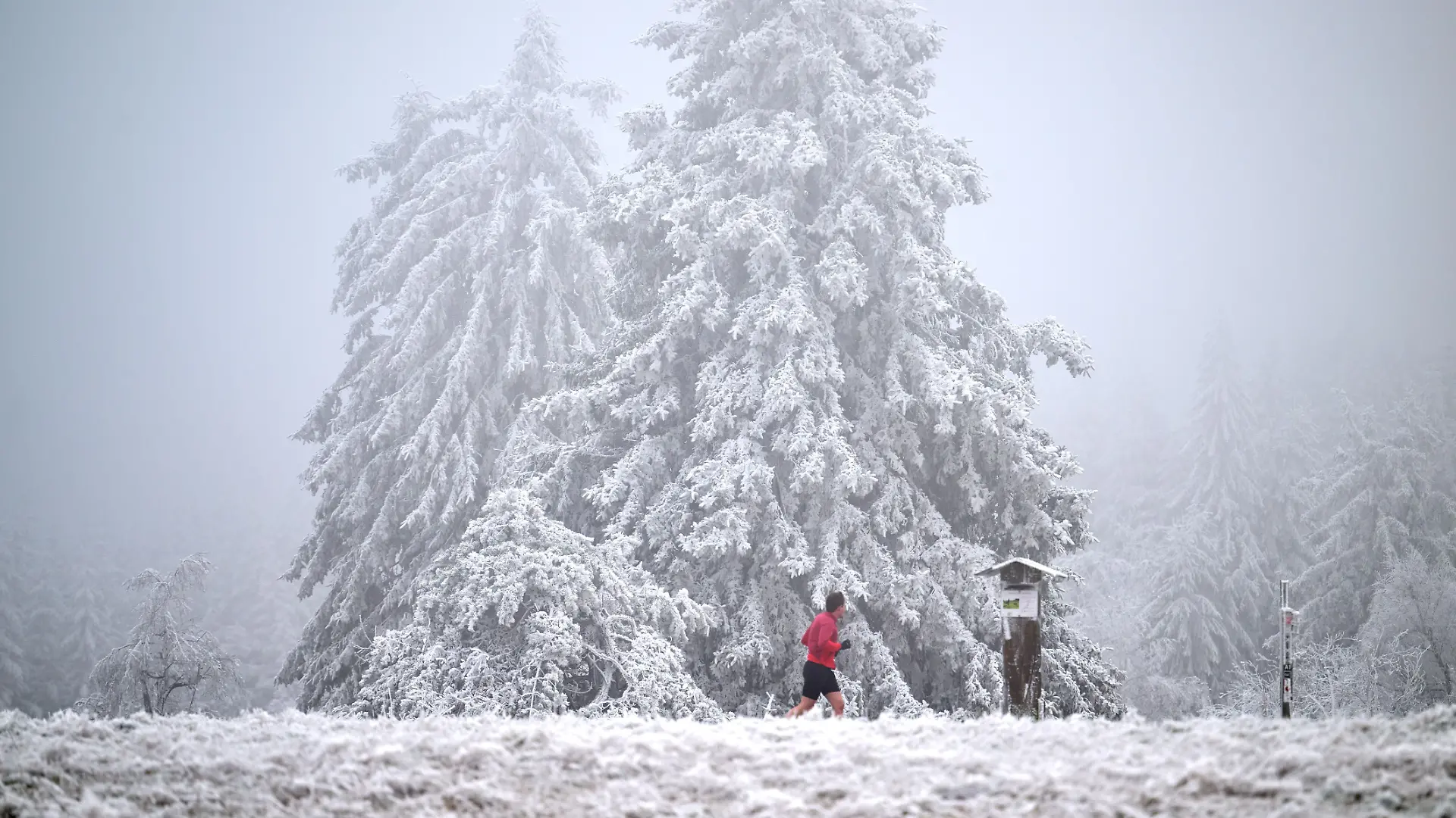 Ein Jogger läuft durch die eisige Kälte am Winterberg in Nordrhein-Westfalen.