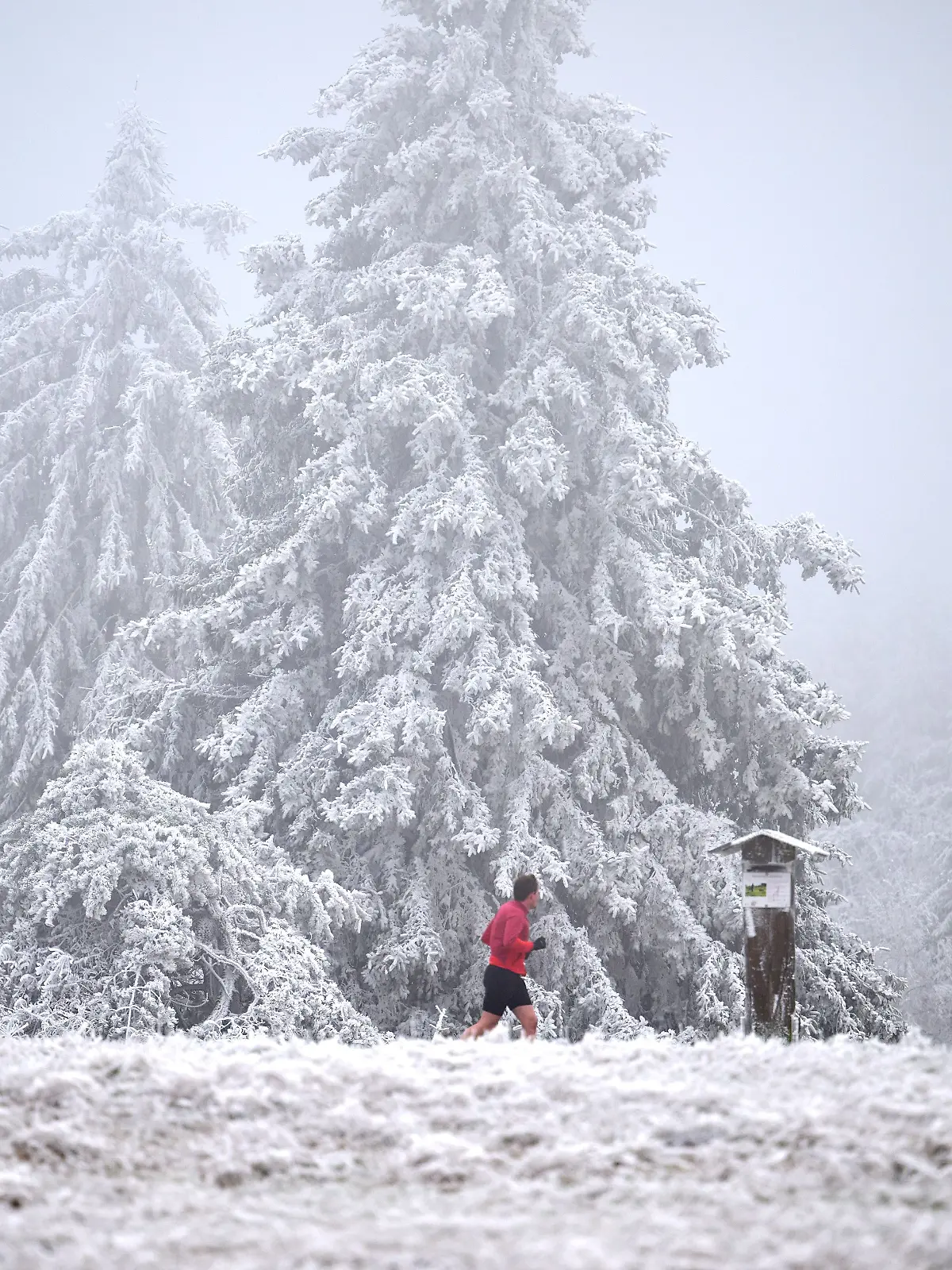 Ein Jogger läuft durch die eisige Kälte am Winterberg in Nordrhein-Westfalen. 