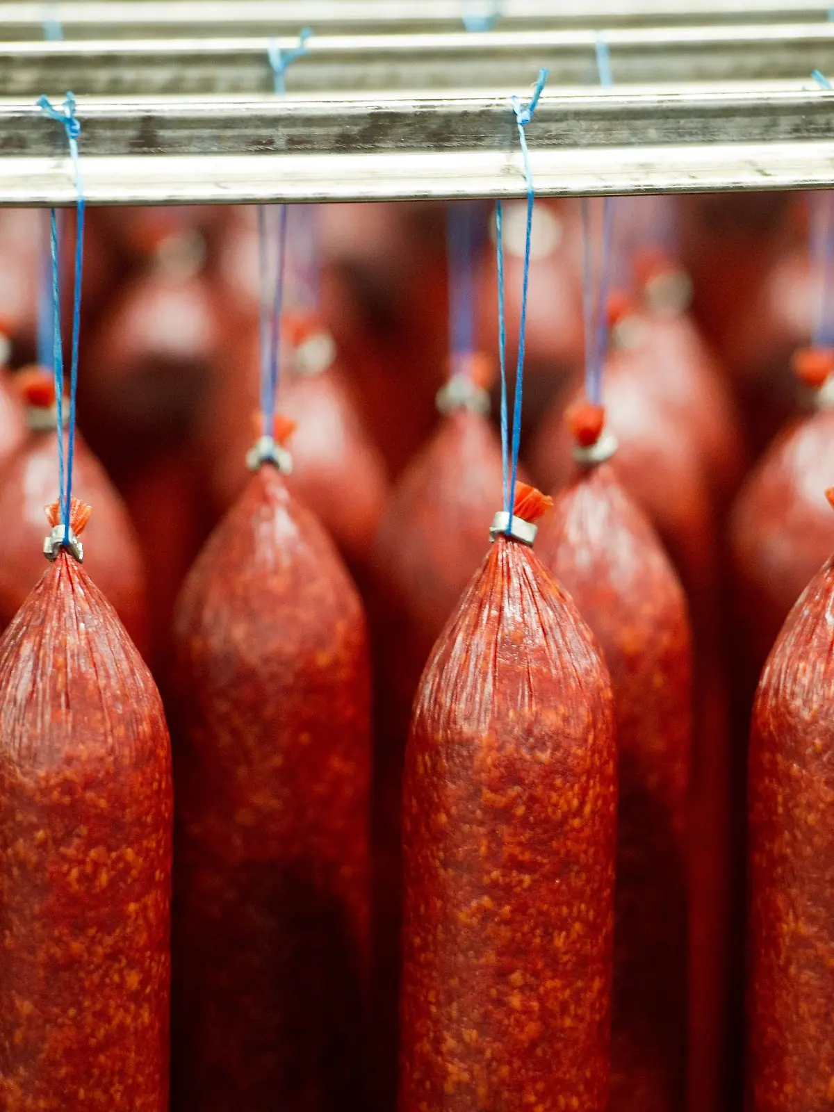 Bild zu: "Gefährliche Darmbakterien nachgewiesen! Rewe-Salami zurückgerufen"