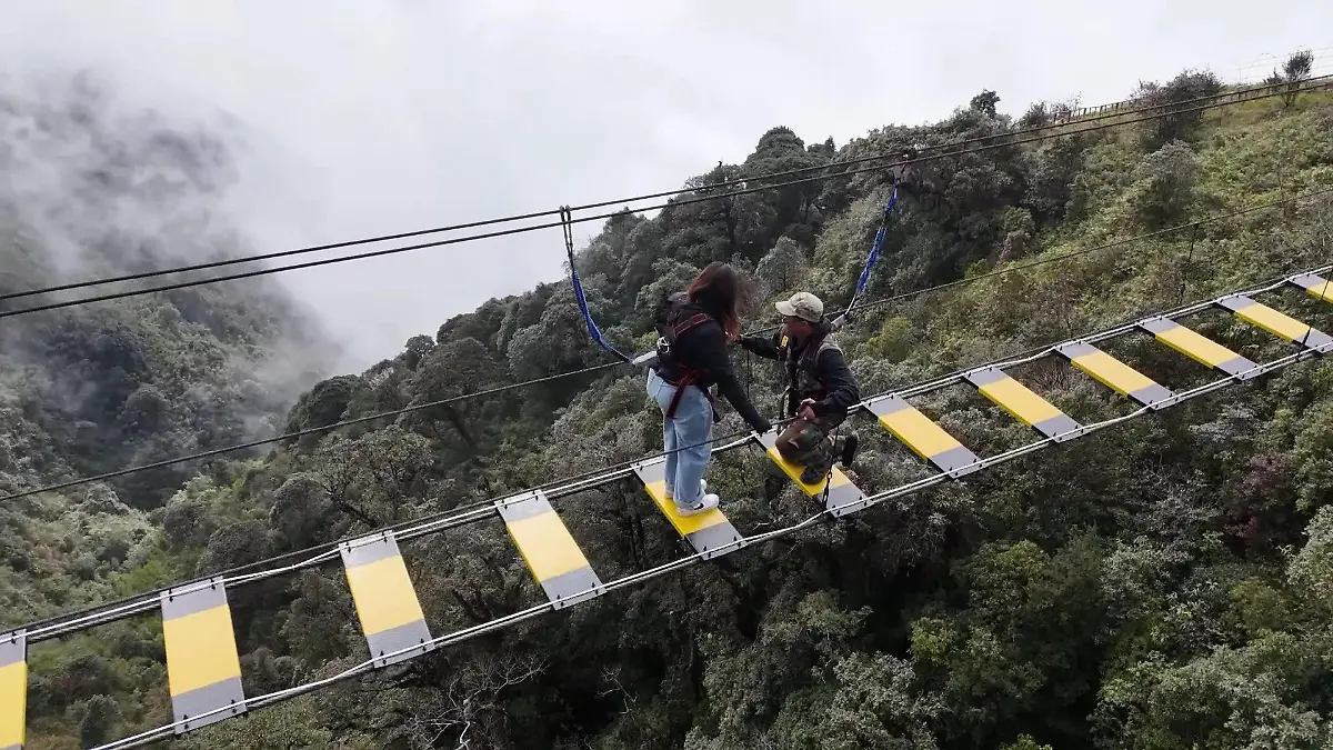 Dieser Heiratsantrag macht Lindsay unfassbar Angst – weil ihr Freund sie HIER fragt! Erst Schreie, dann Tränen