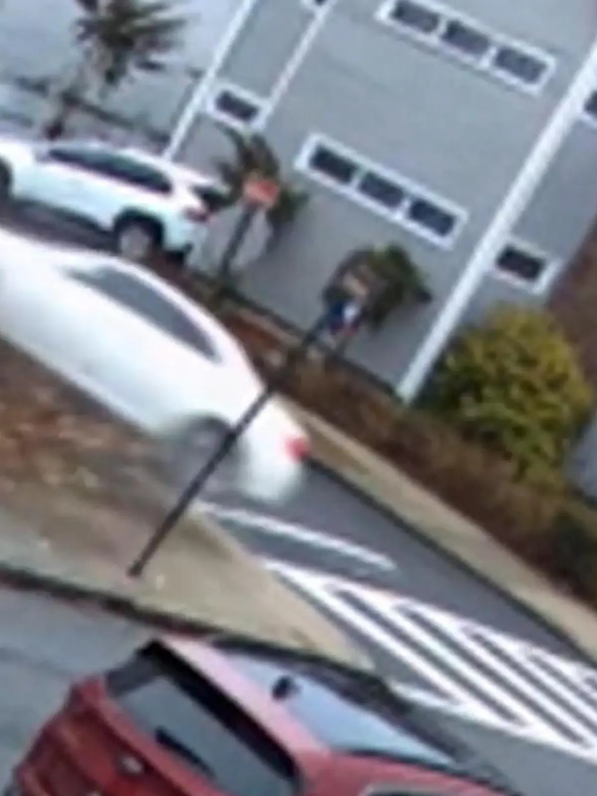 Bild zu: "Wohngebiet verwüstet! Raser fliegt bei Horror-Crash aus Autofenster – und rennt weg"