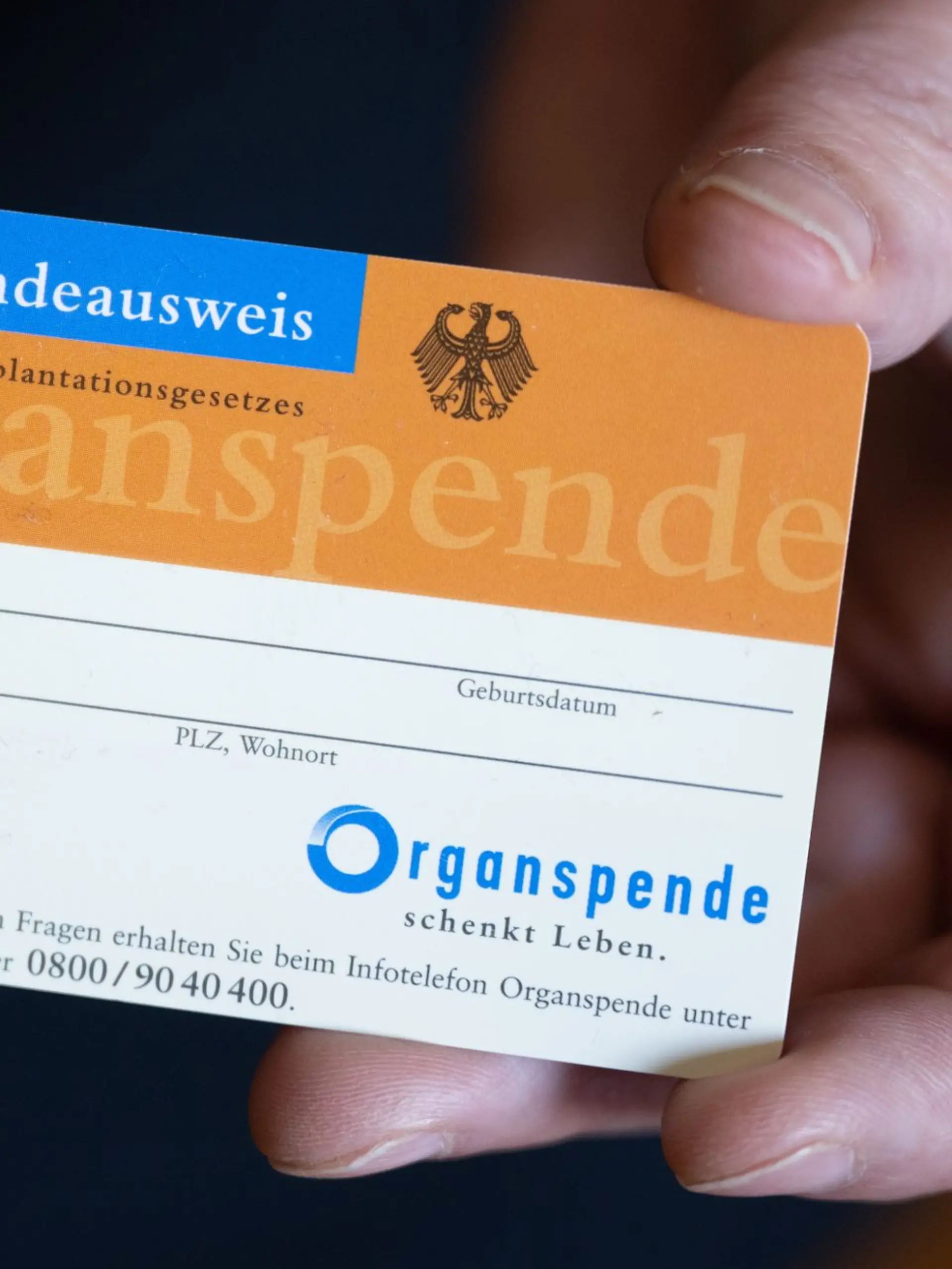 Bild zu: "Organspende für alle? Was sich für Millionen Deutsche ändern könnte"