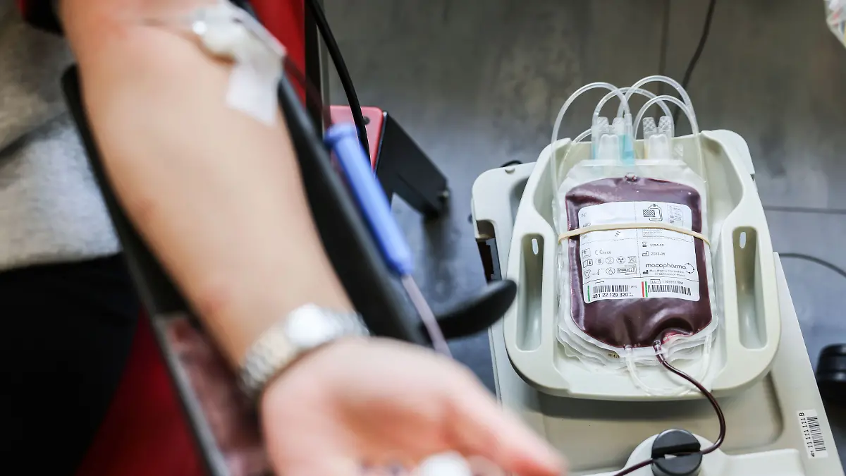 Aus einem Arm wird Blut abgenommen. 